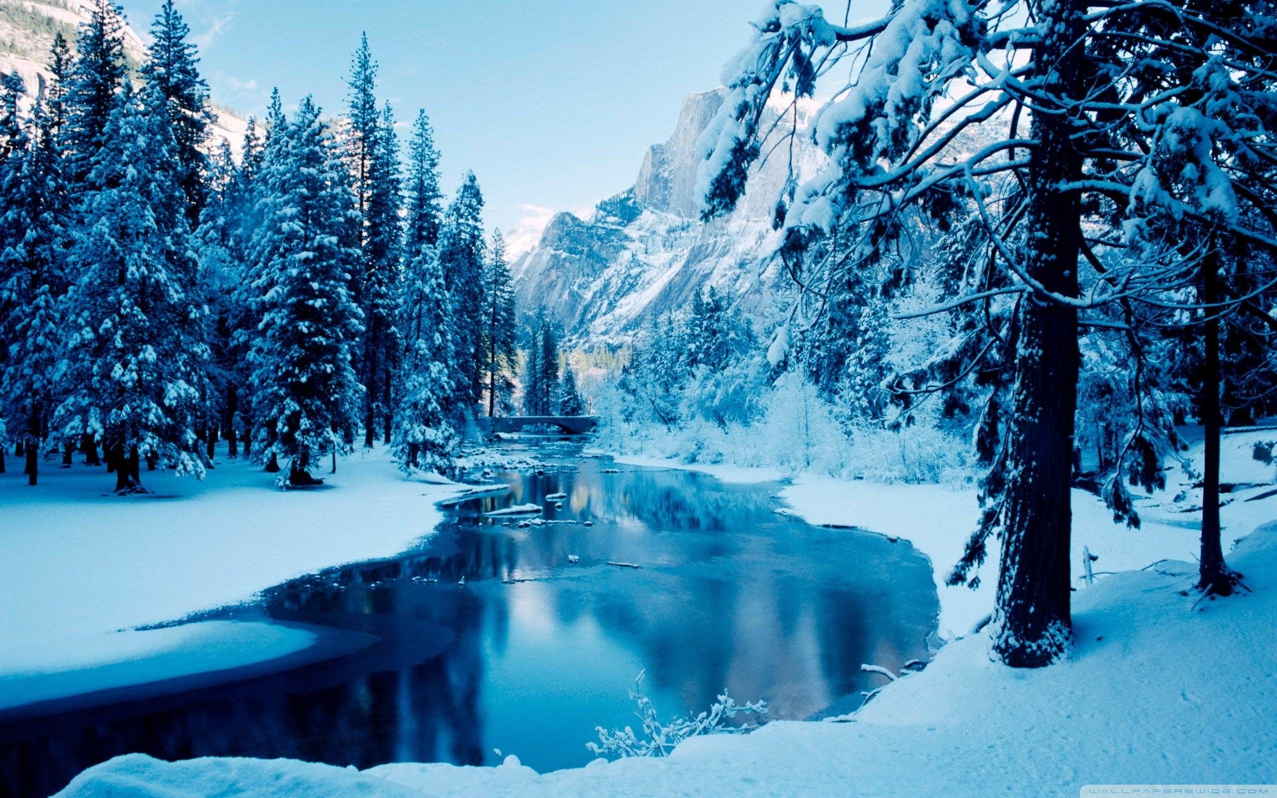 Winter Landscapes Wallpapers