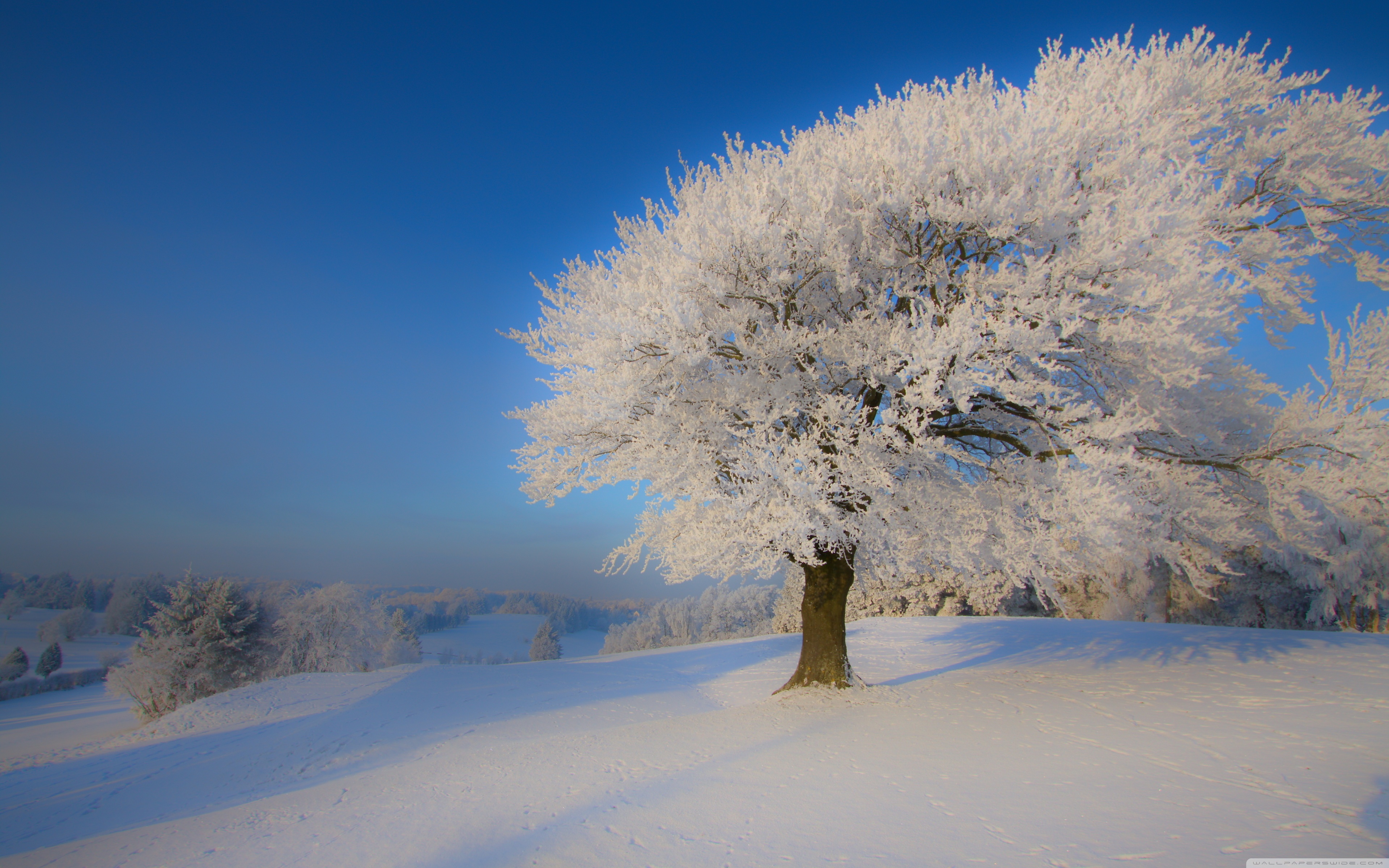 Winter Landscapes Wallpapers