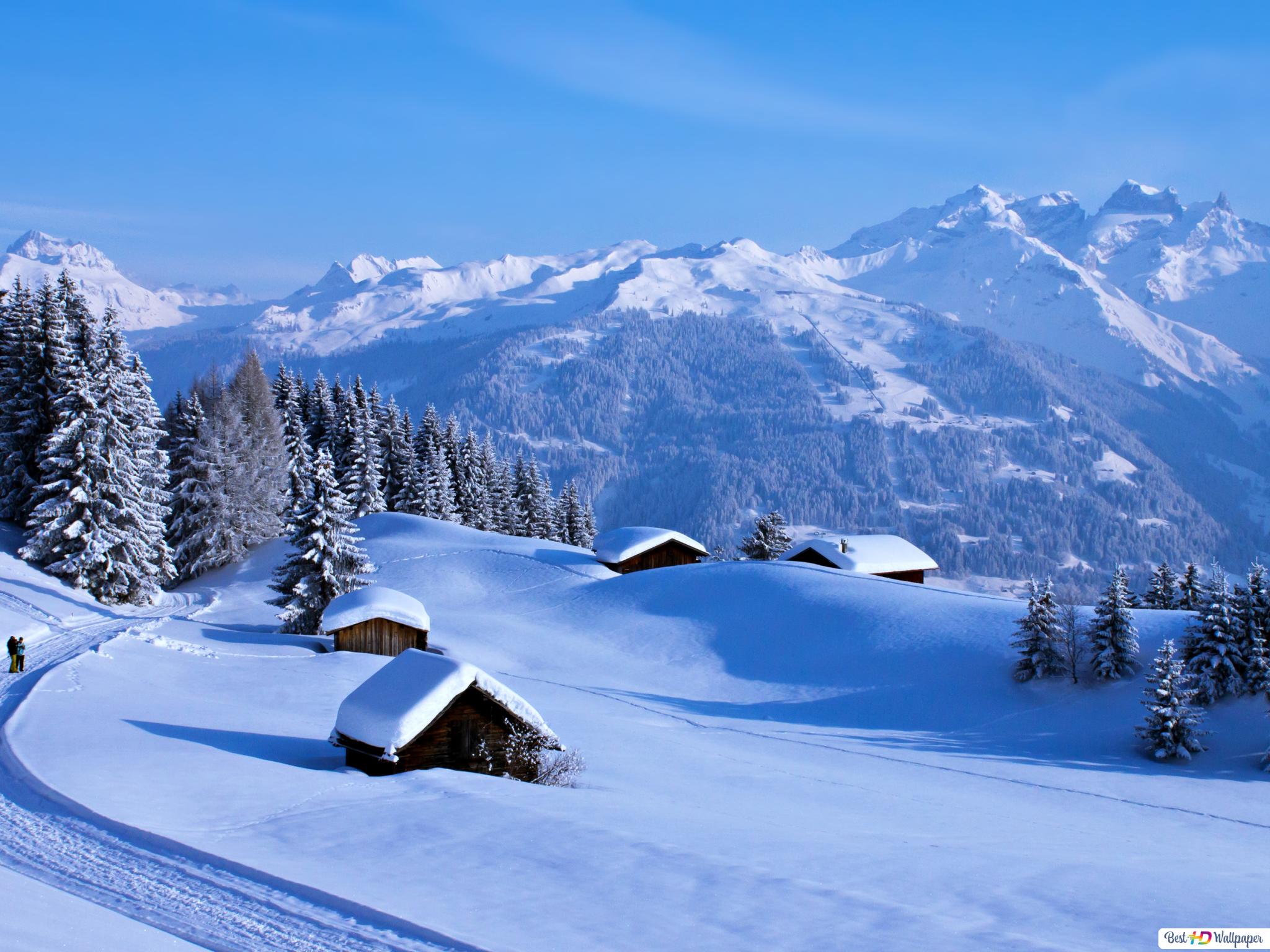 Winter Landscapes Wallpapers