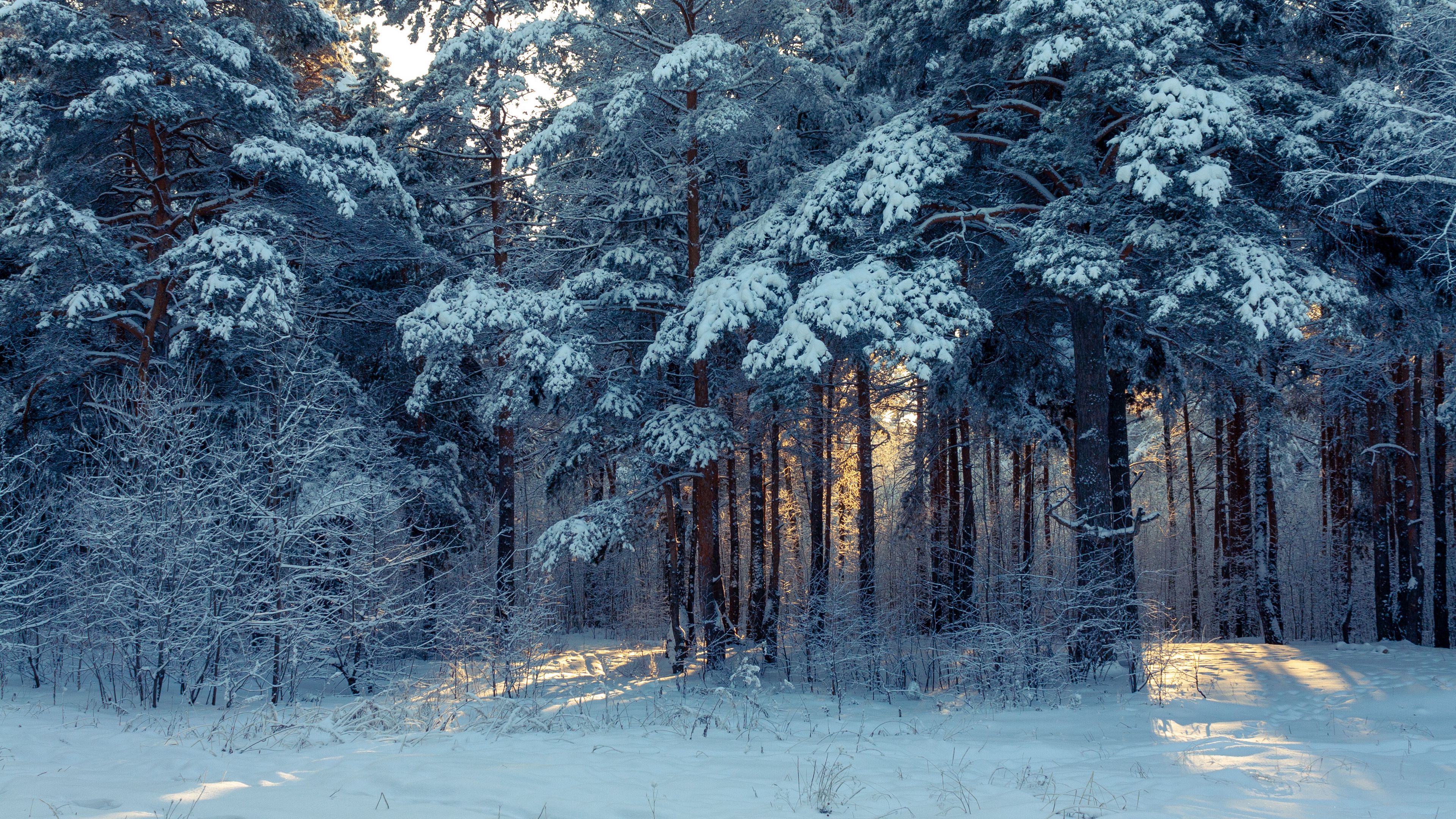 Winter Landscapes Wallpapers