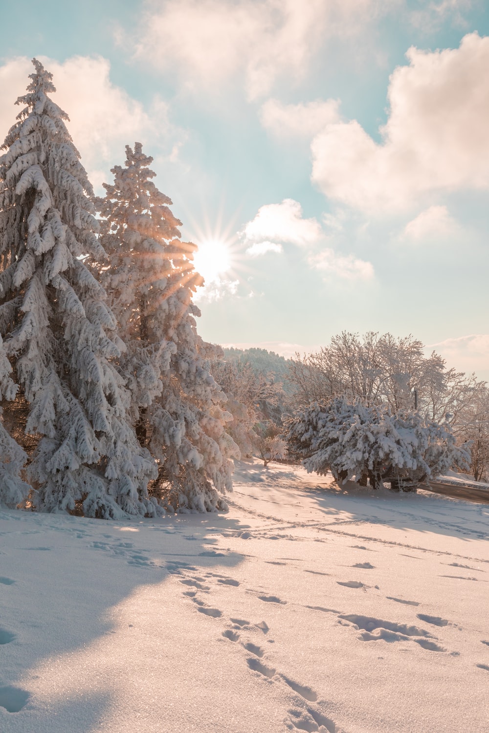 Winter Landscapes Wallpapers