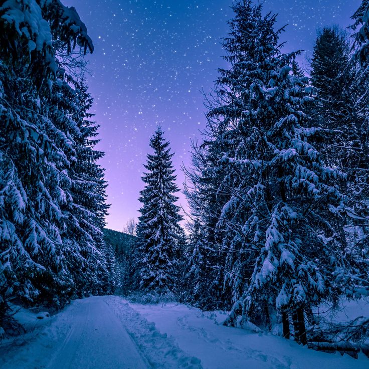 Winter Laptop Wallpapers