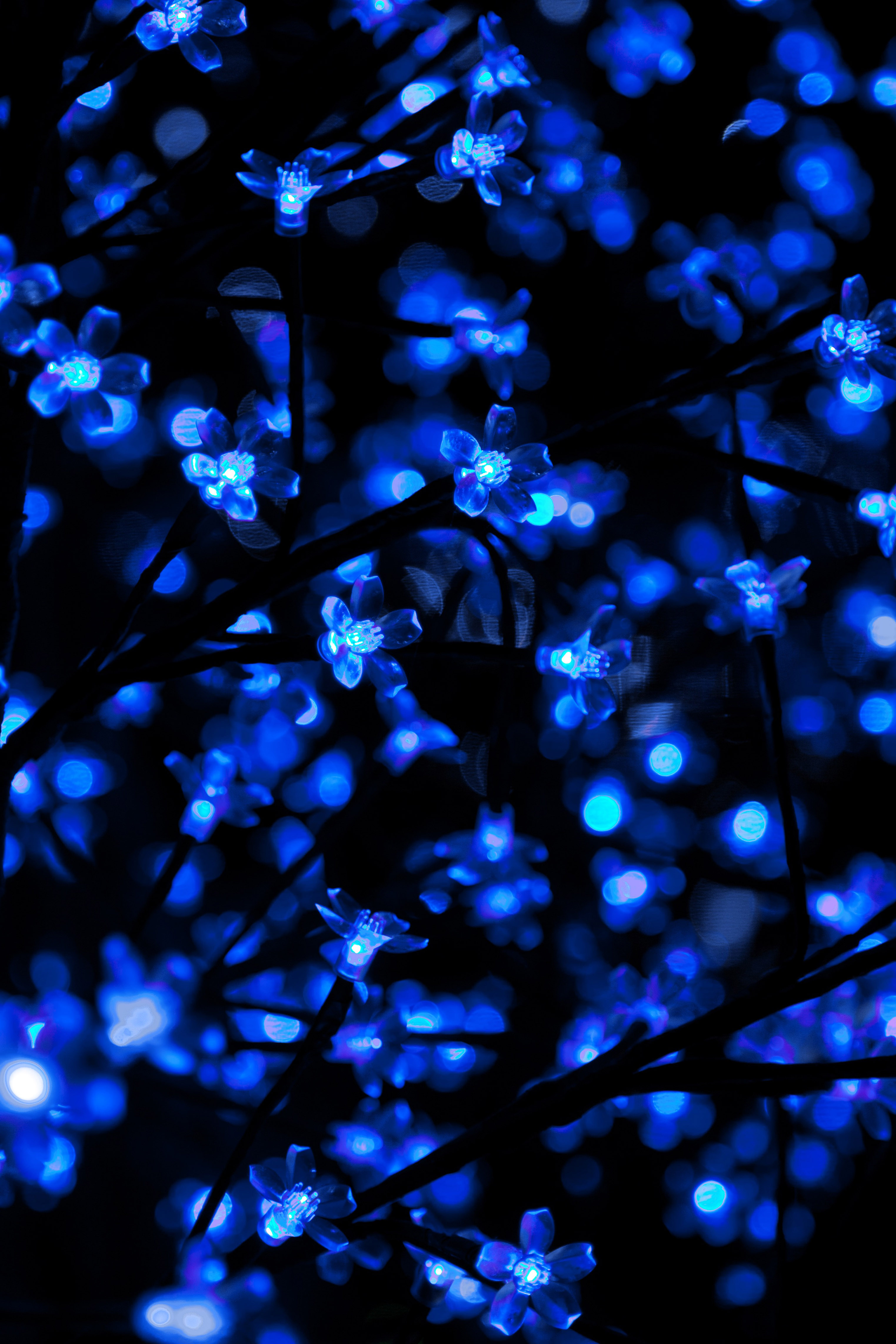 Winter Lights Background