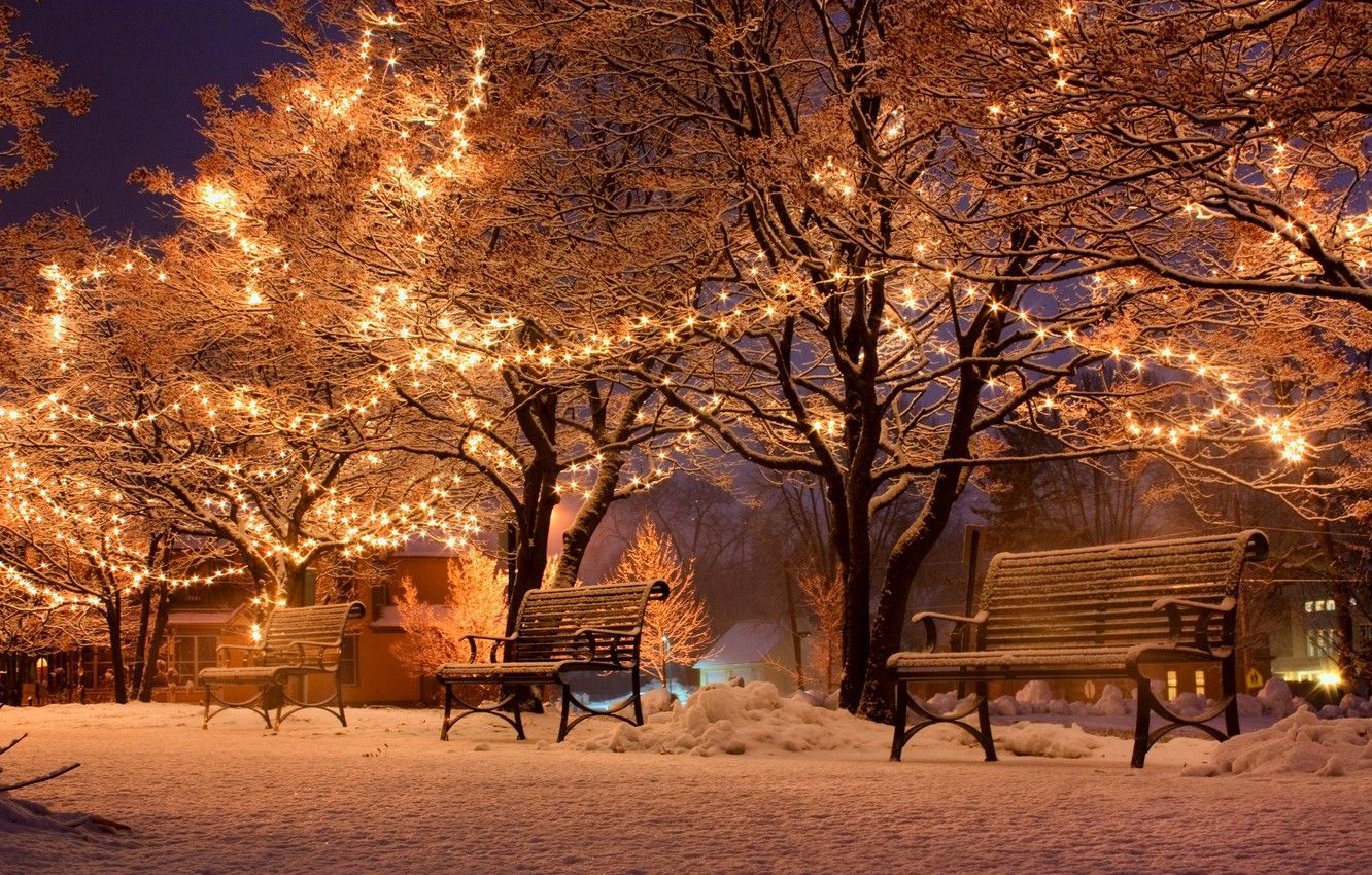 Winter Lights Background