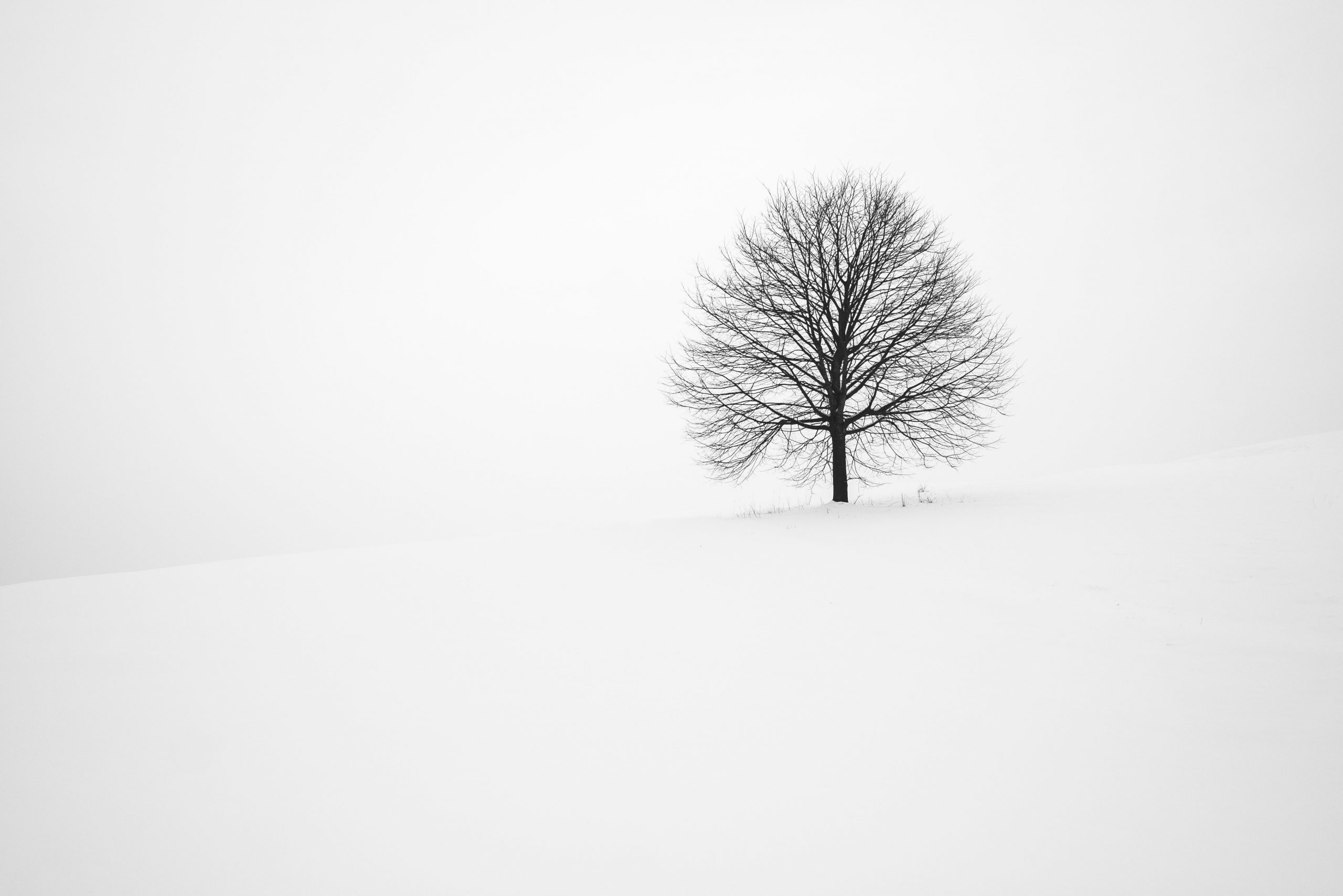 Winter Minimalist Wallpapers