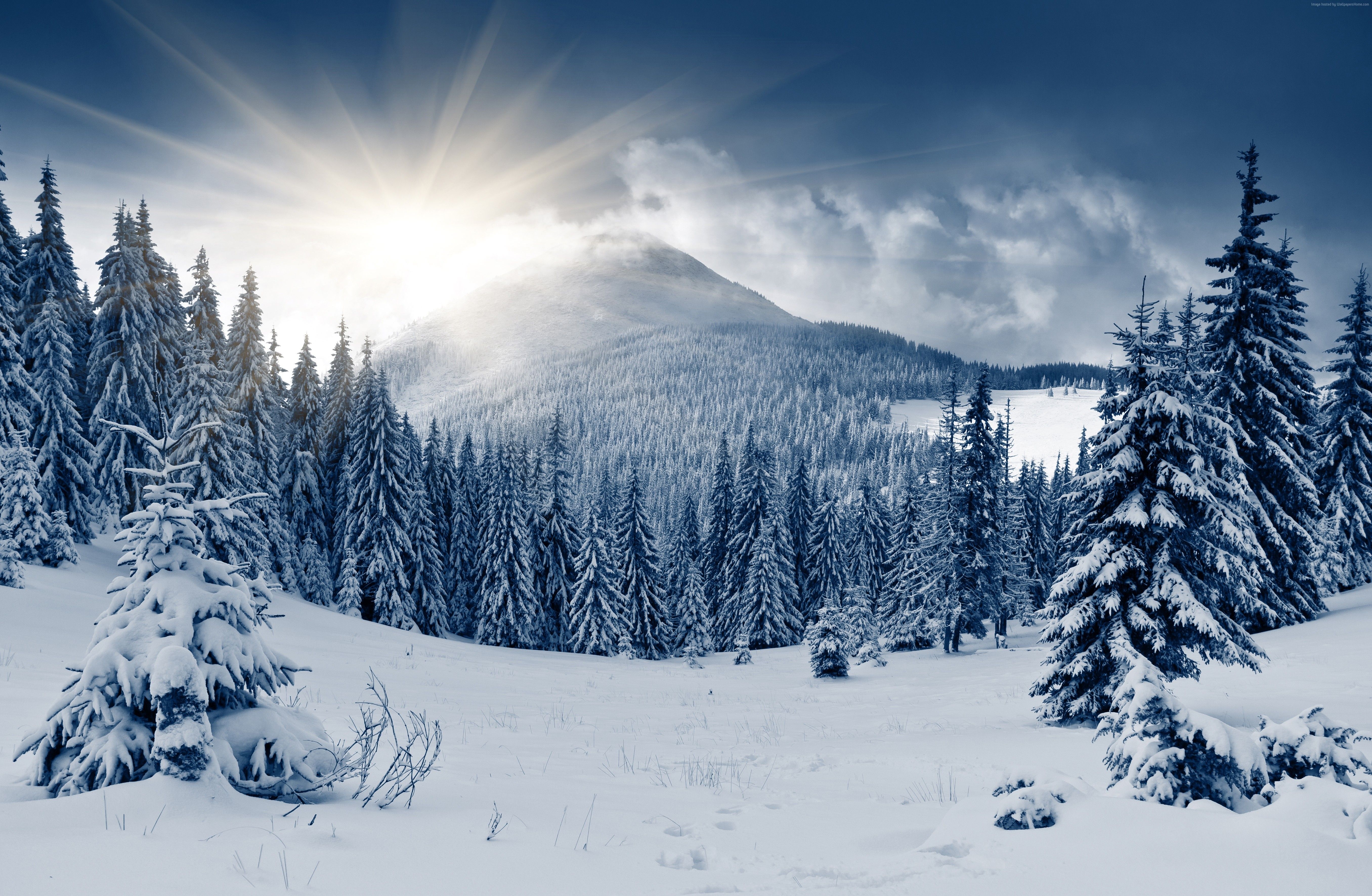 Winter Mountains And Trees Wallpapers