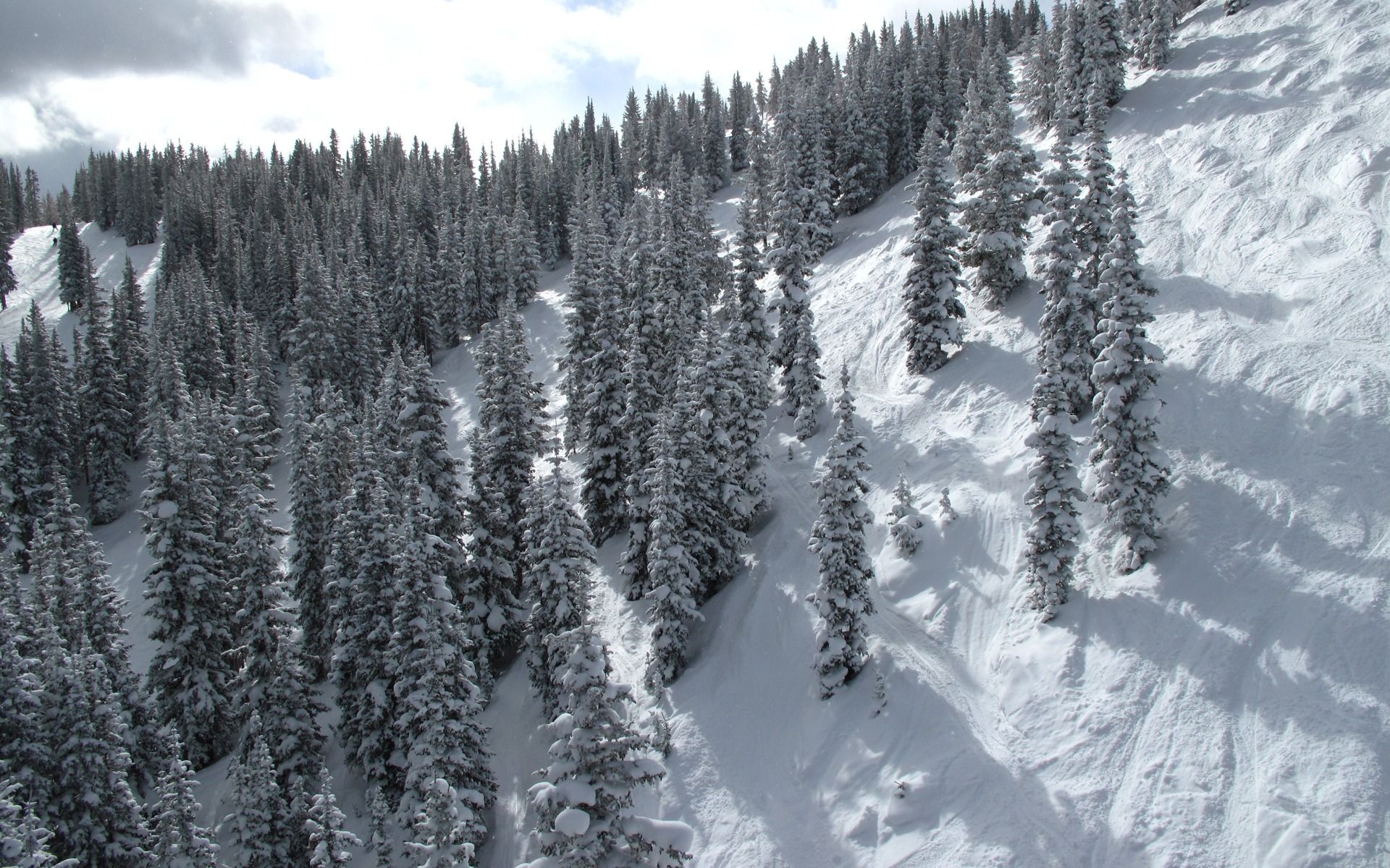 Winter Mountains And Trees Wallpapers