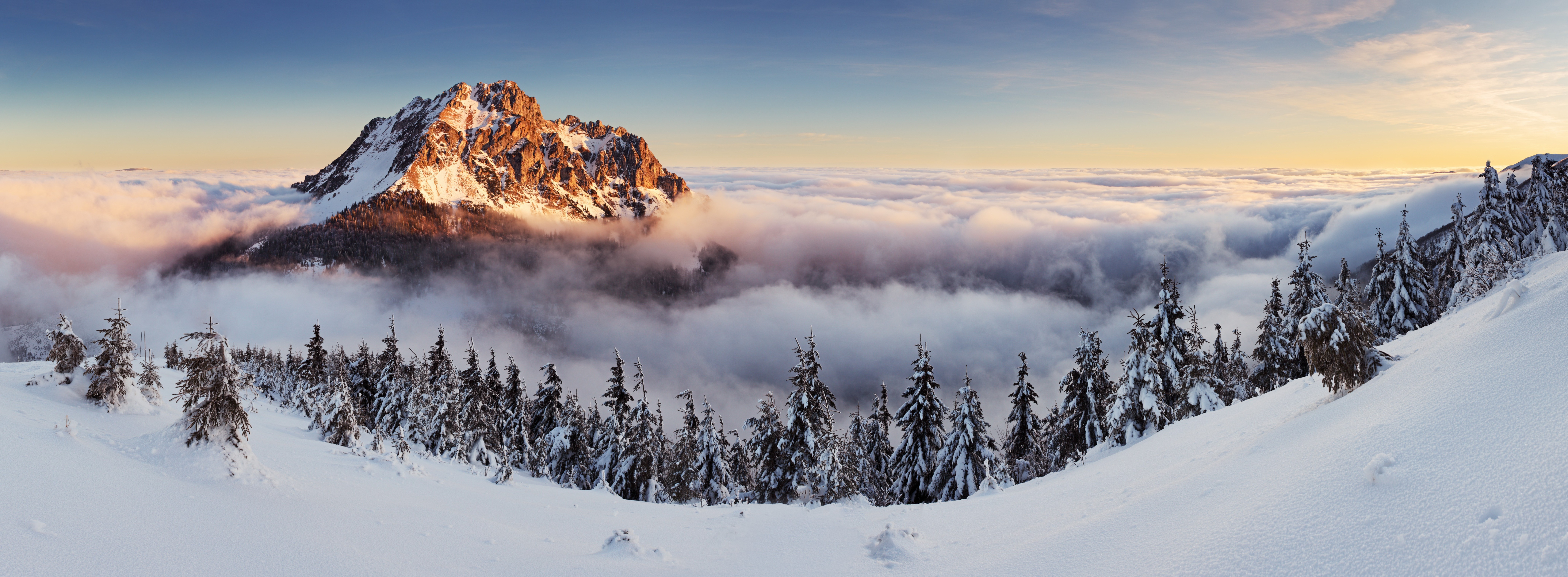 Winter Mountains And Trees Wallpapers