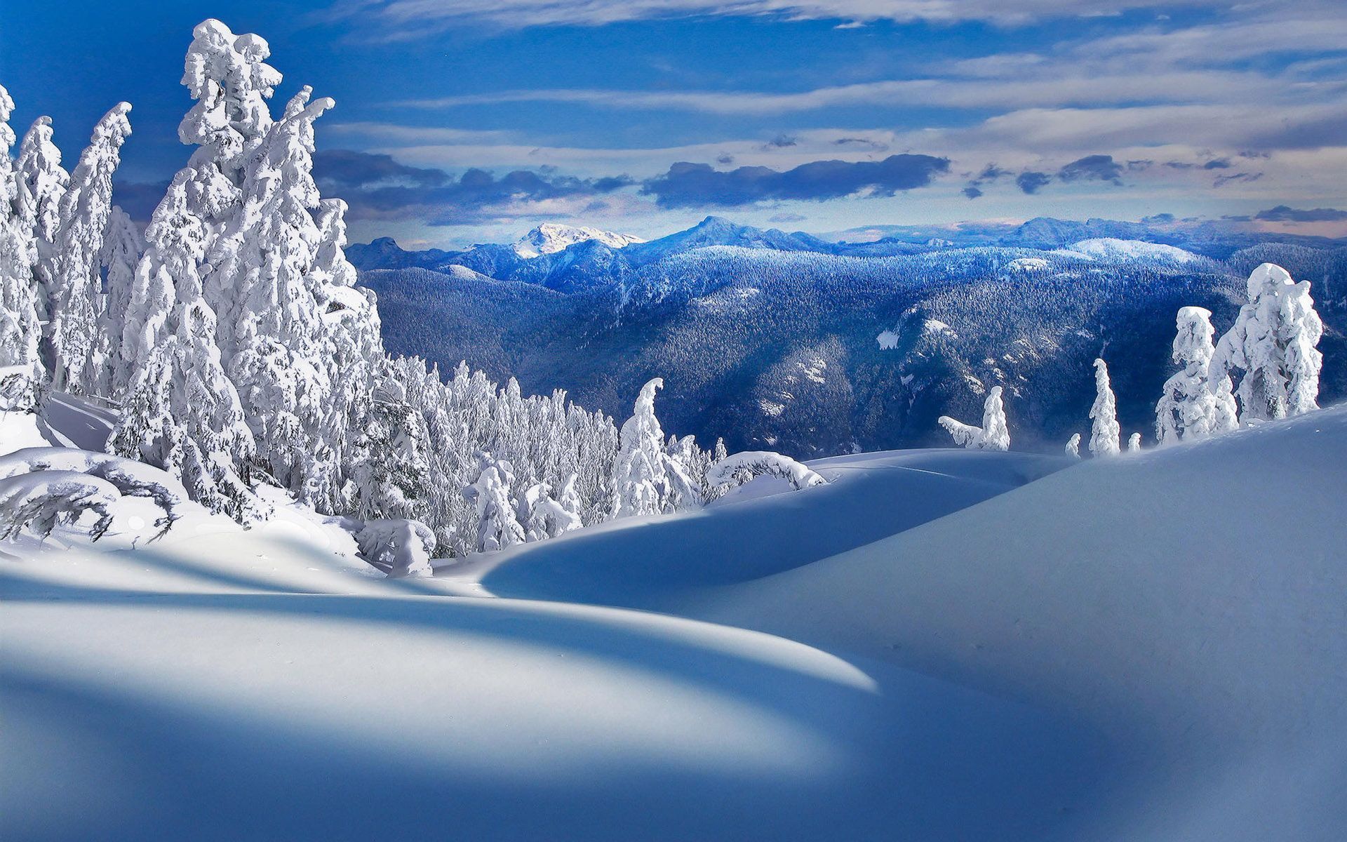 Winter Mountains And Trees Wallpapers