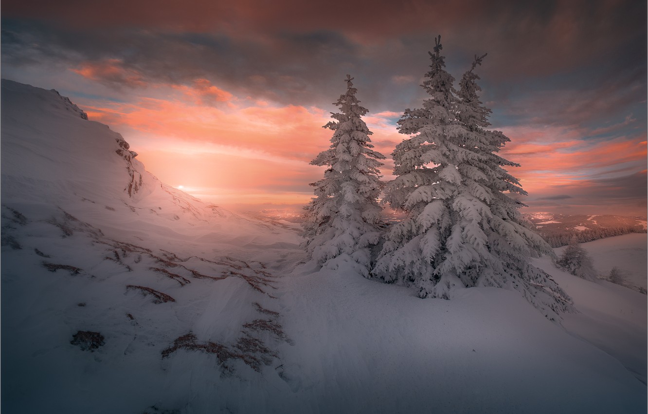 Winter Mountains And Trees Wallpapers