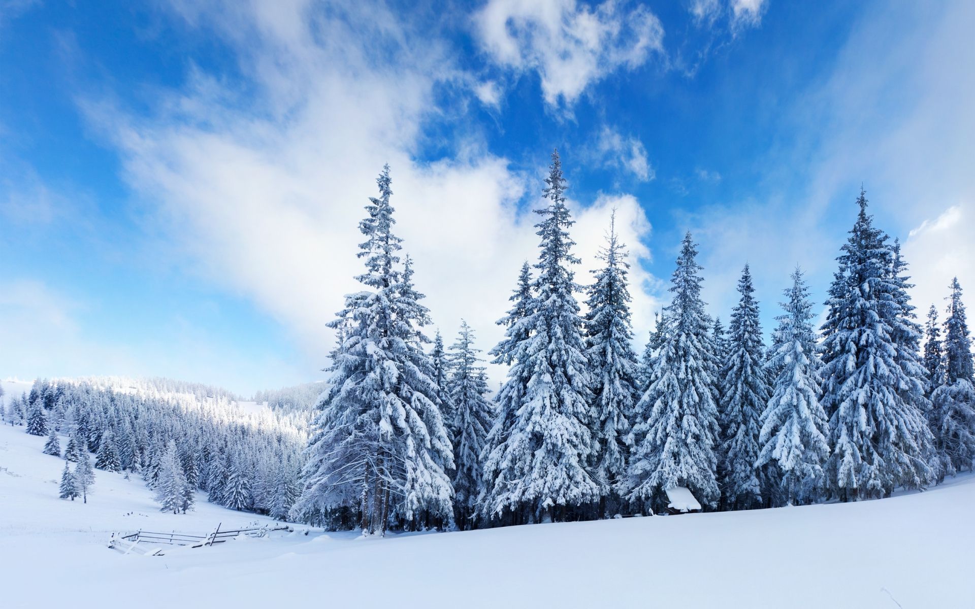 Winter Mountains And Trees Wallpapers