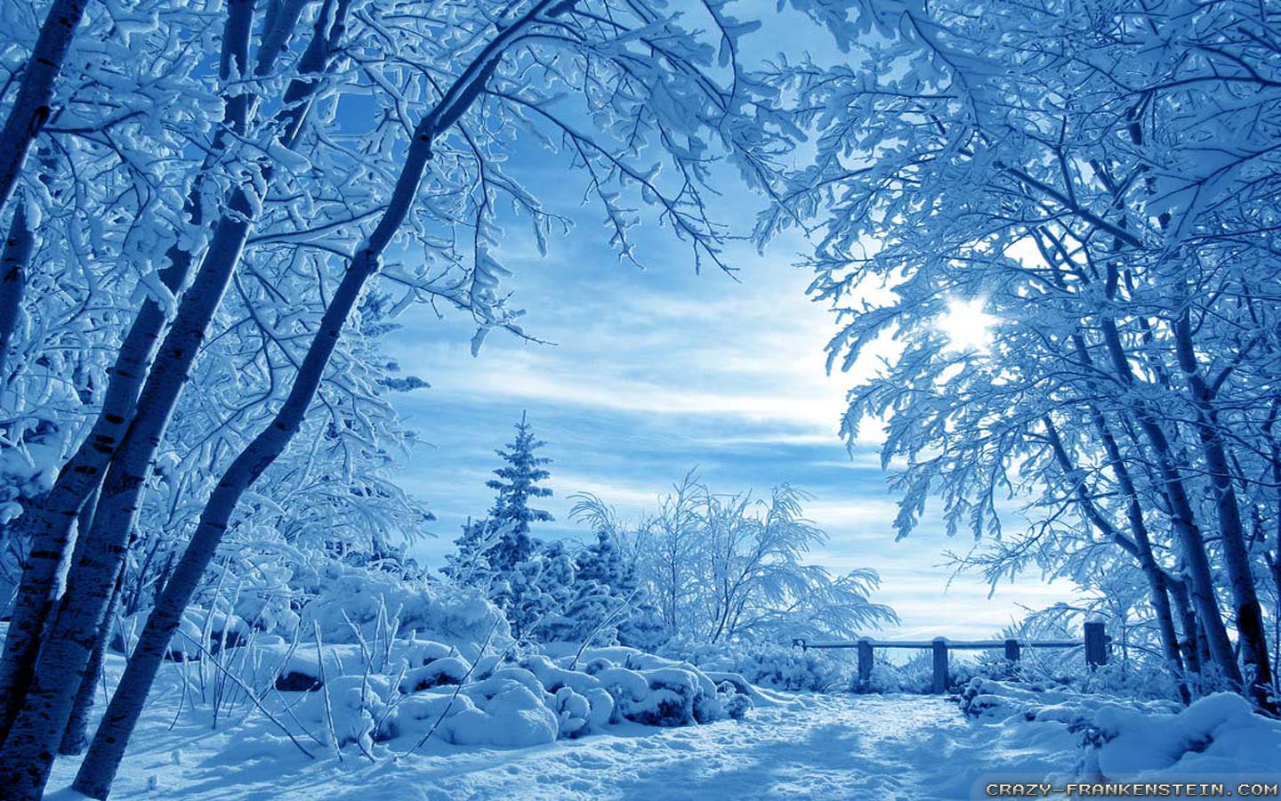 Winter Nature Wallpapers