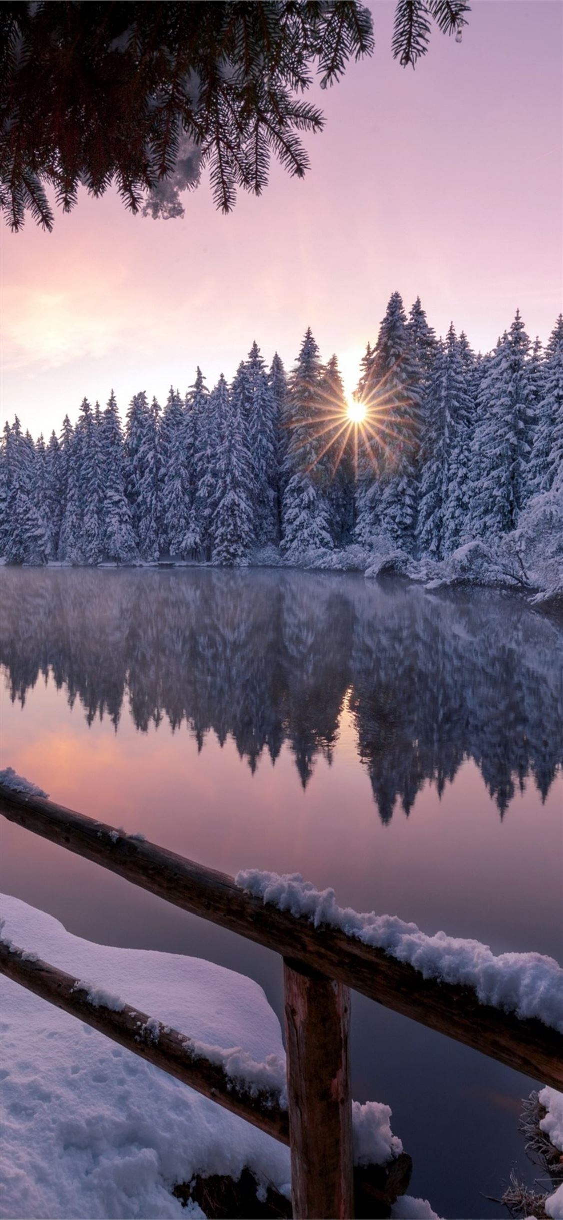 Winter Nature Wallpapers