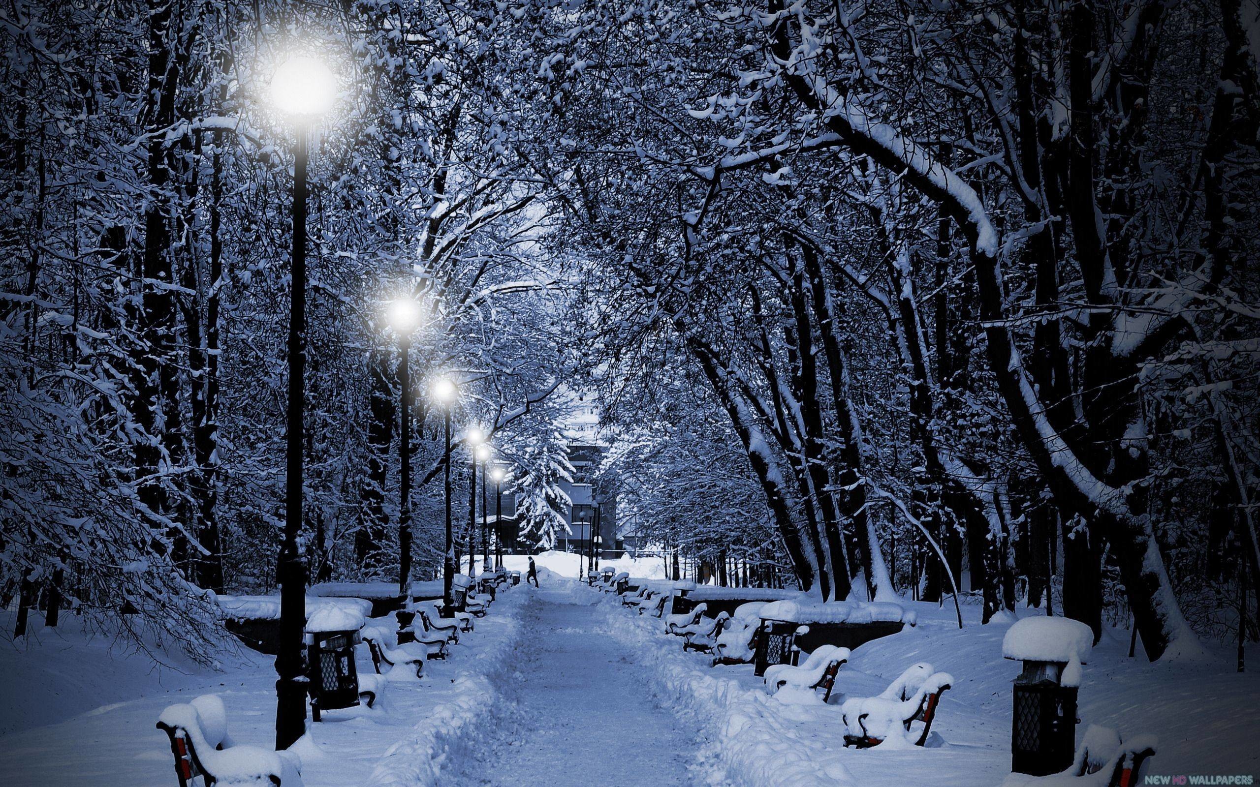 Winter Night 1920X1080 Wallpapers