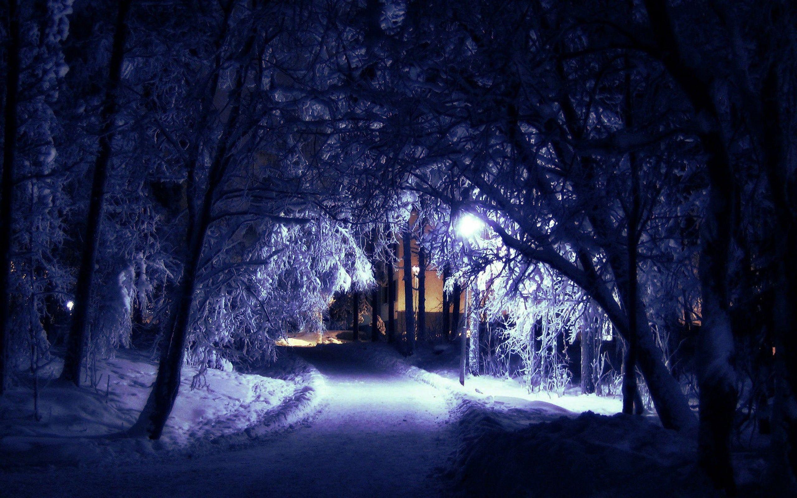 Winter Night 1920X1080 Wallpapers