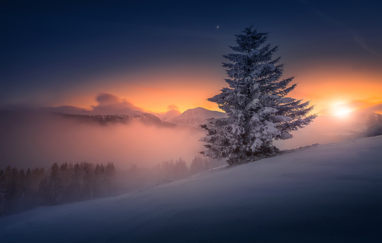 Winter Night Desktop Wallpapers