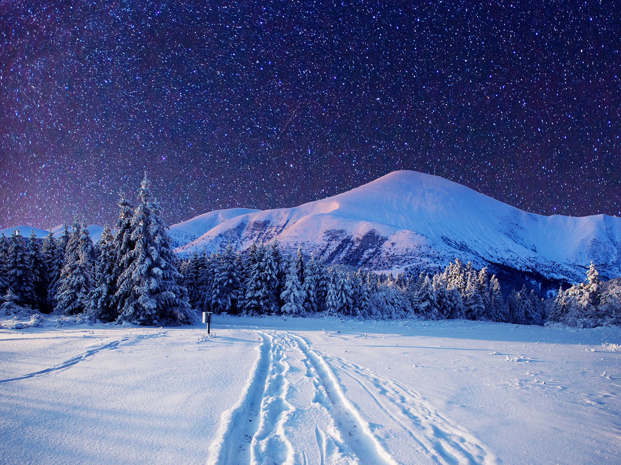 Winter Night Desktop Wallpapers