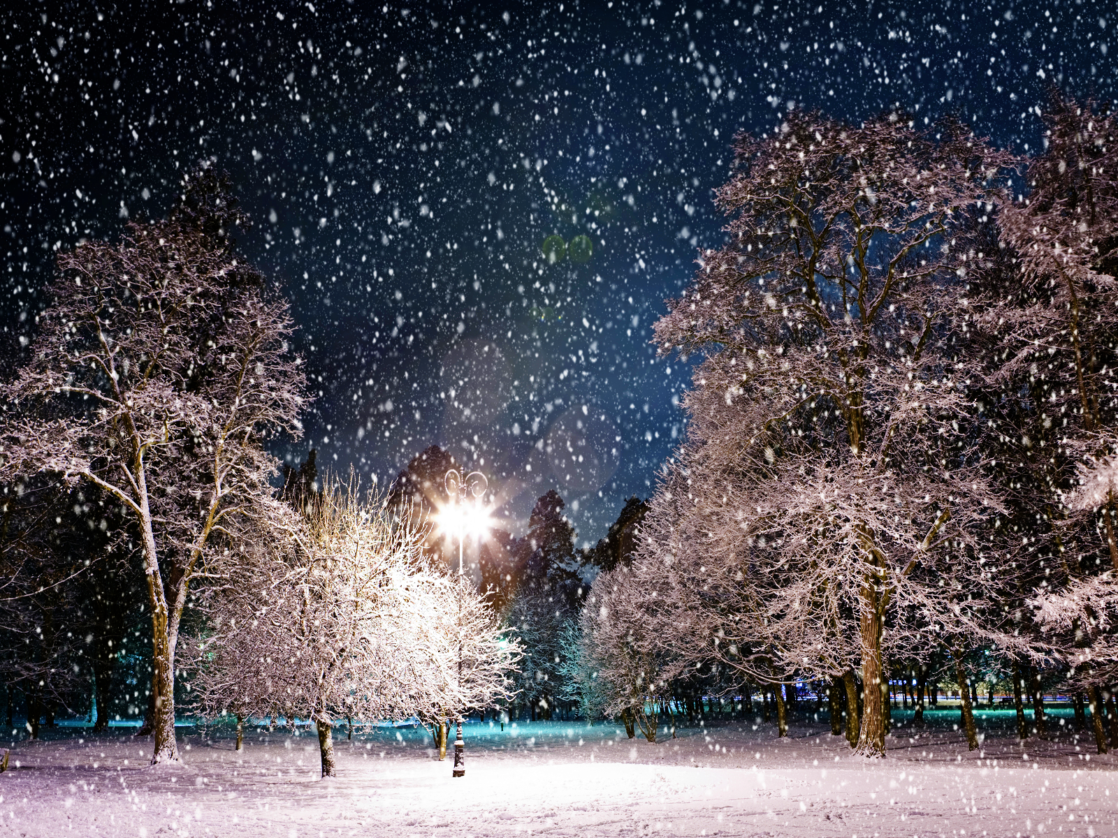 Winter Night Desktop Wallpapers