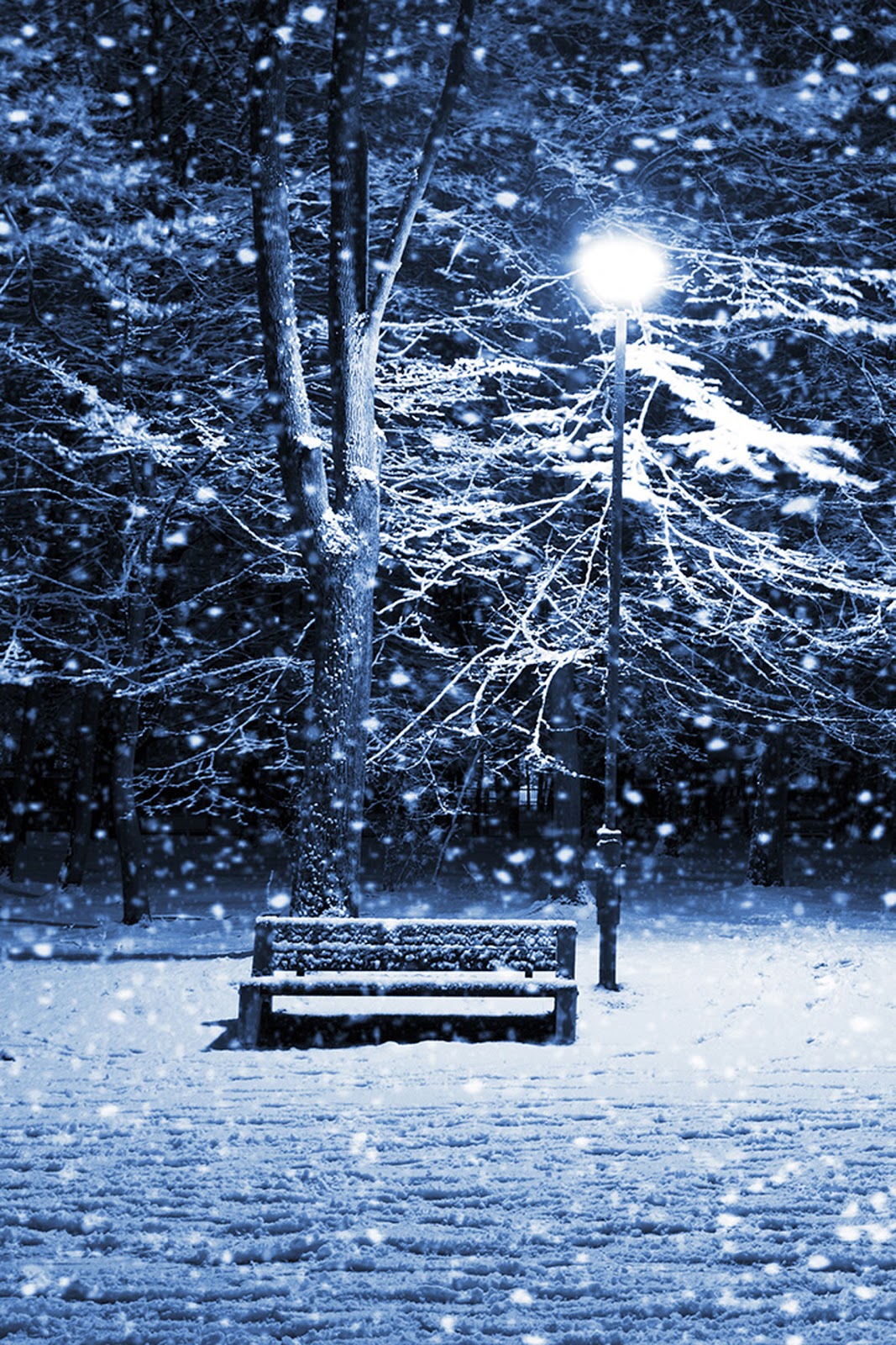 Winter Night Iphone Wallpapers