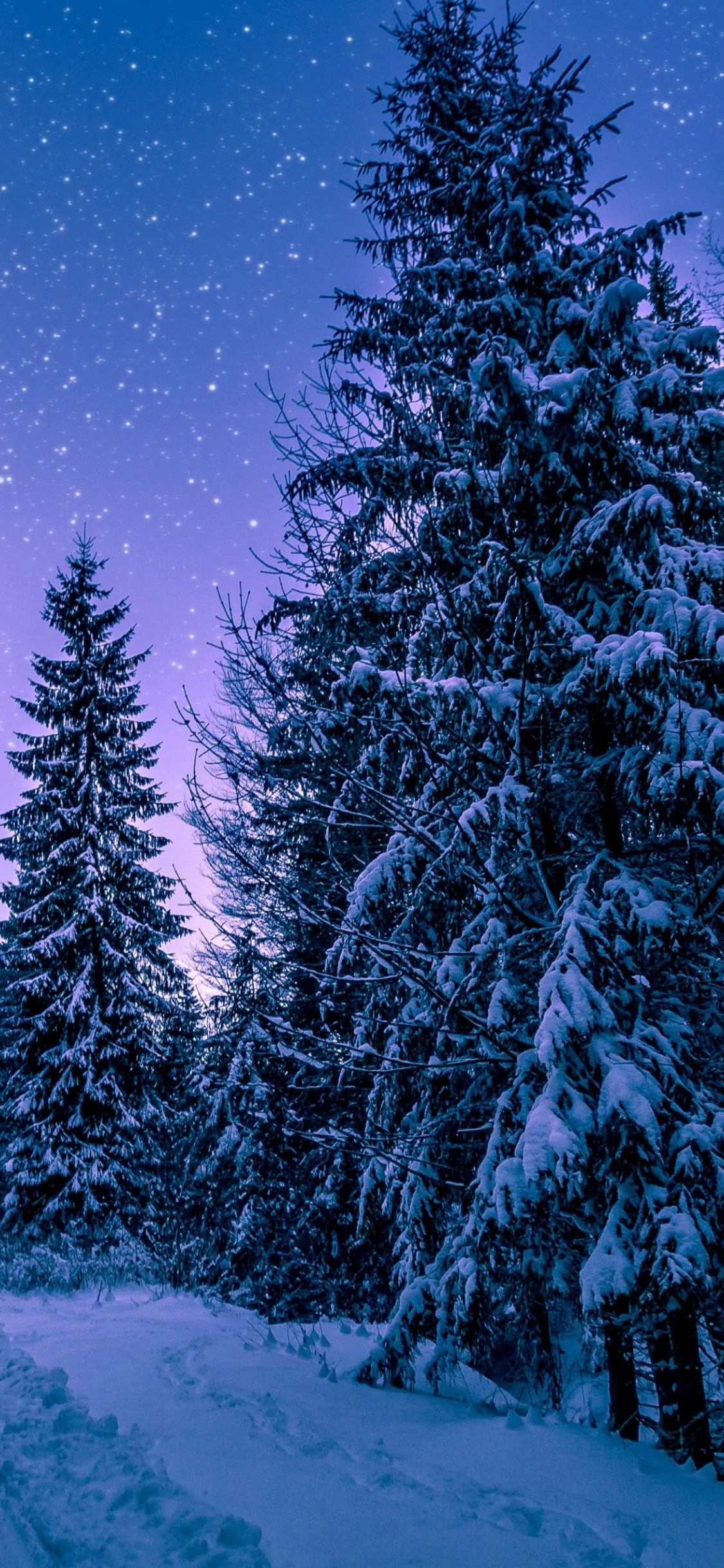 Winter Night Iphone Wallpapers