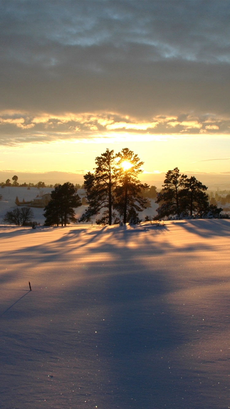 Winter Night Iphone Wallpapers