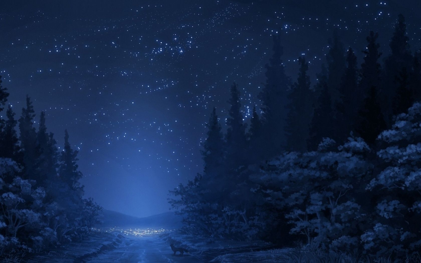 Winter Night Stars Wallpapers