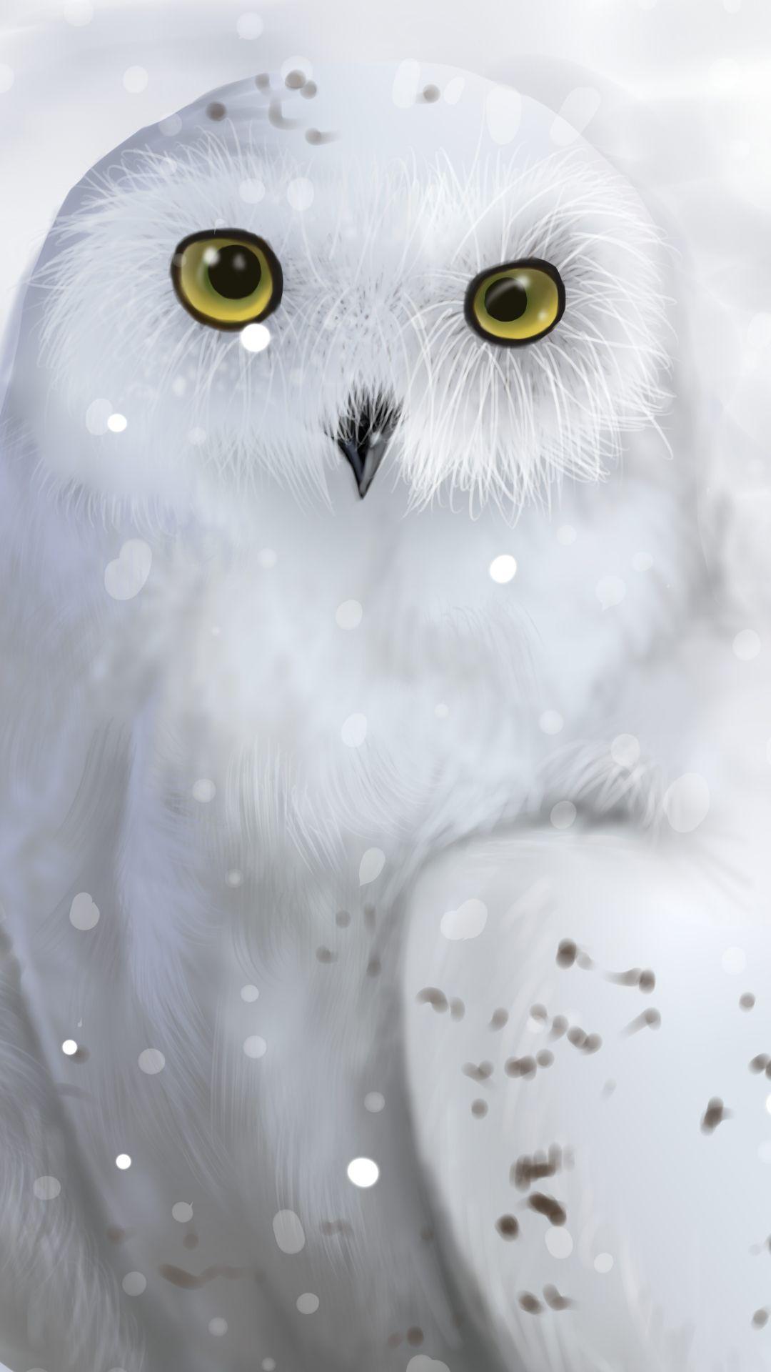 Winter Owl Wallpapers