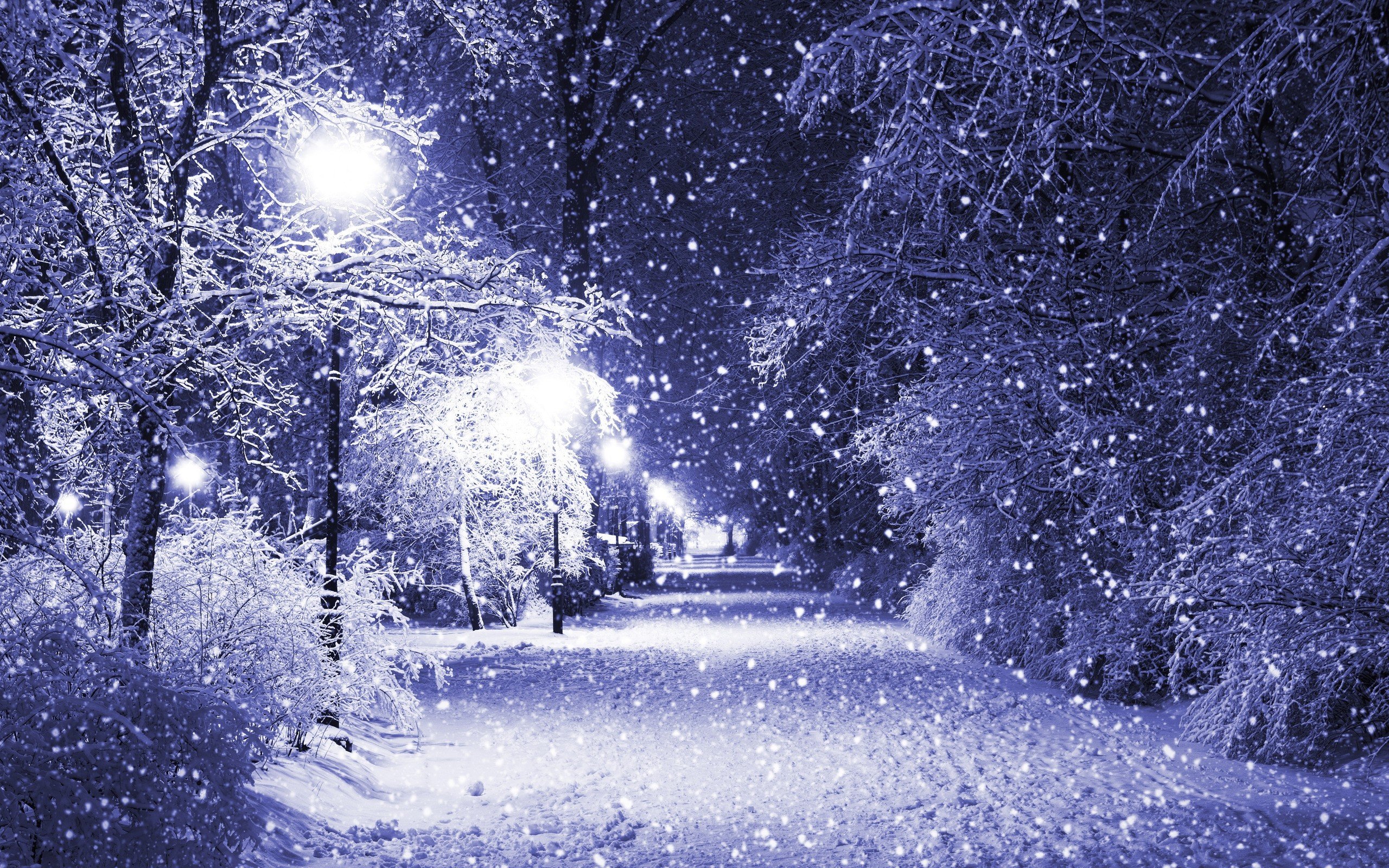 Winter Snow Night Wallpapers