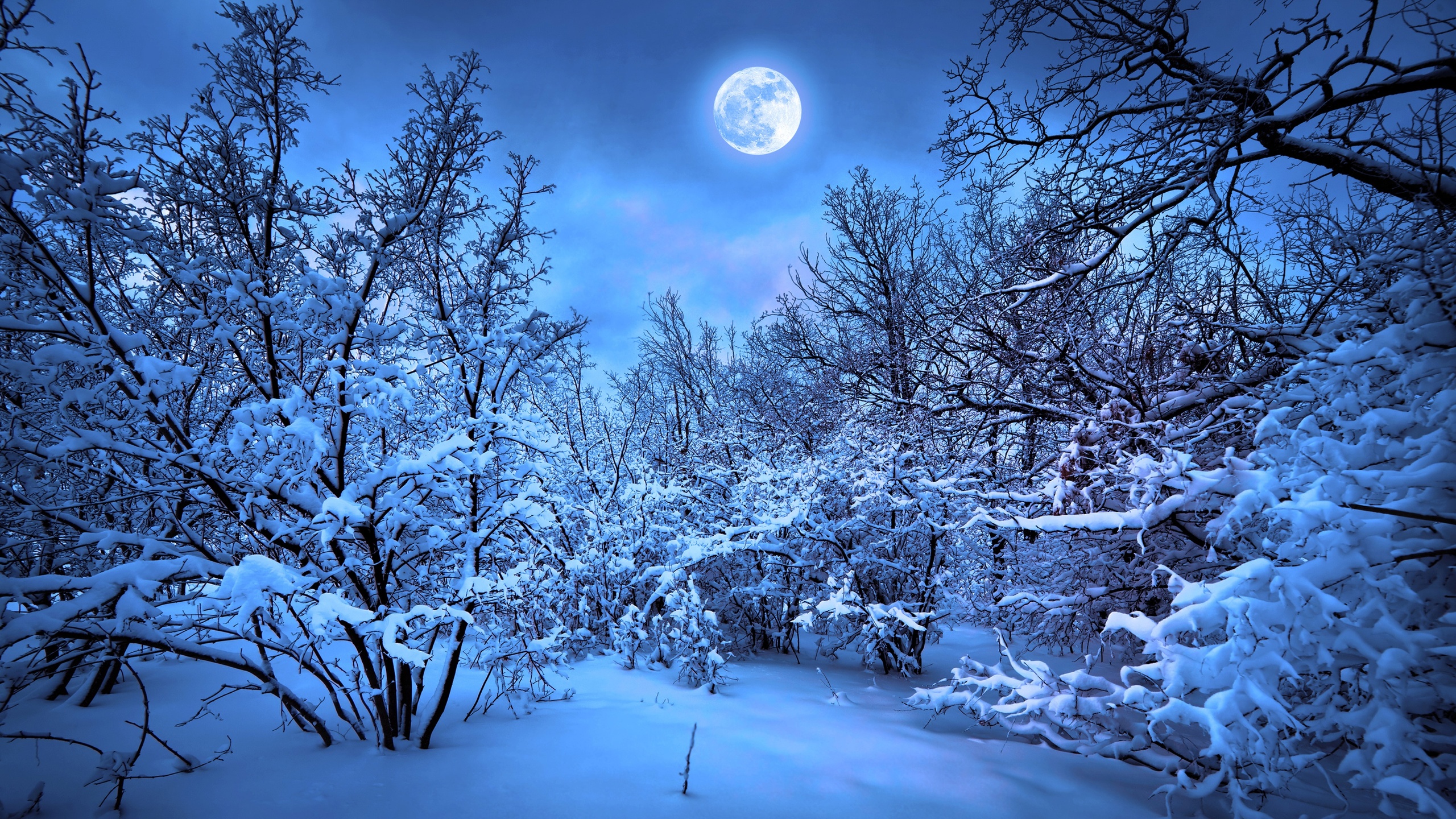 Winter Snow Wallpapers