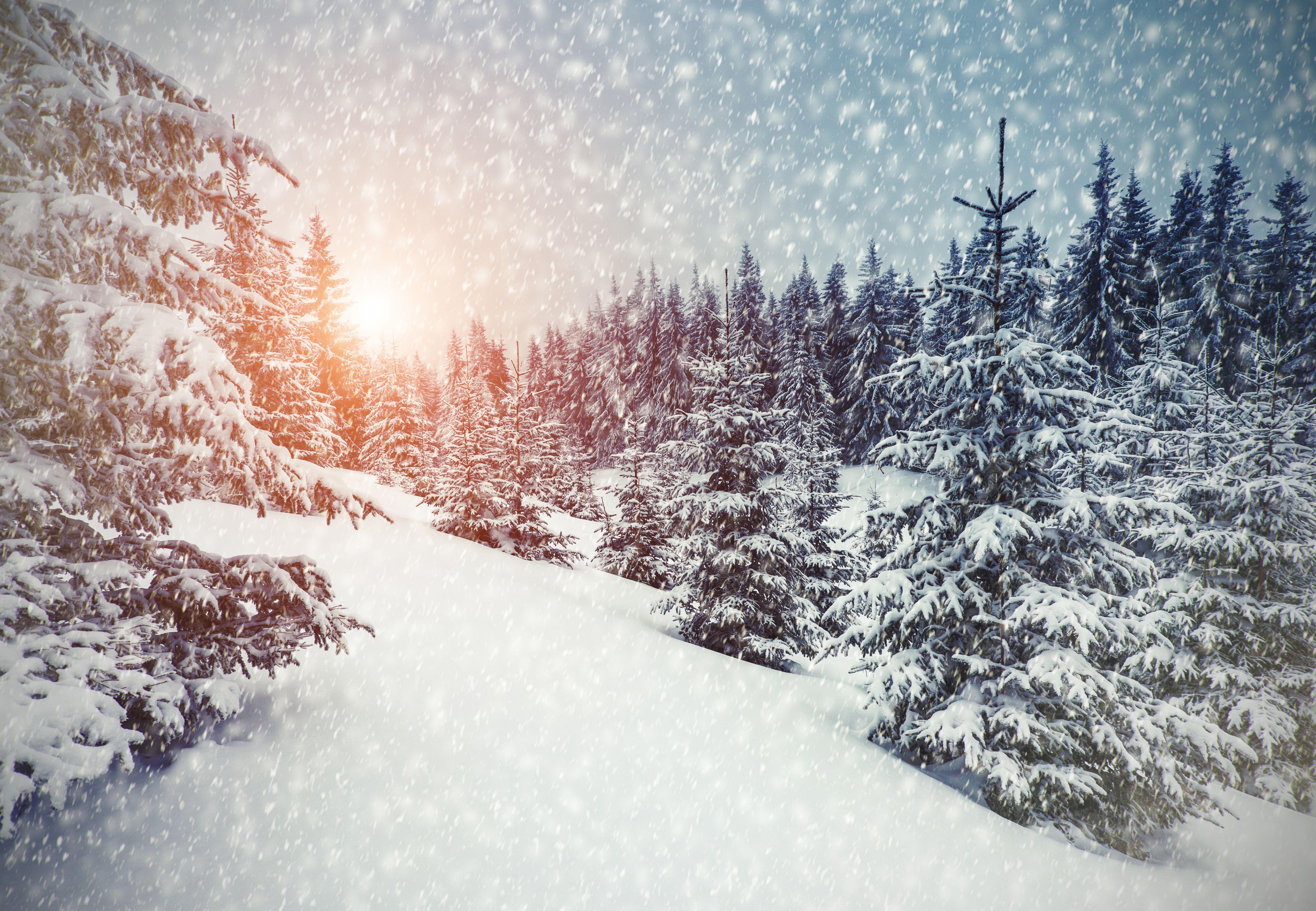 Winter Snow Wallpapers