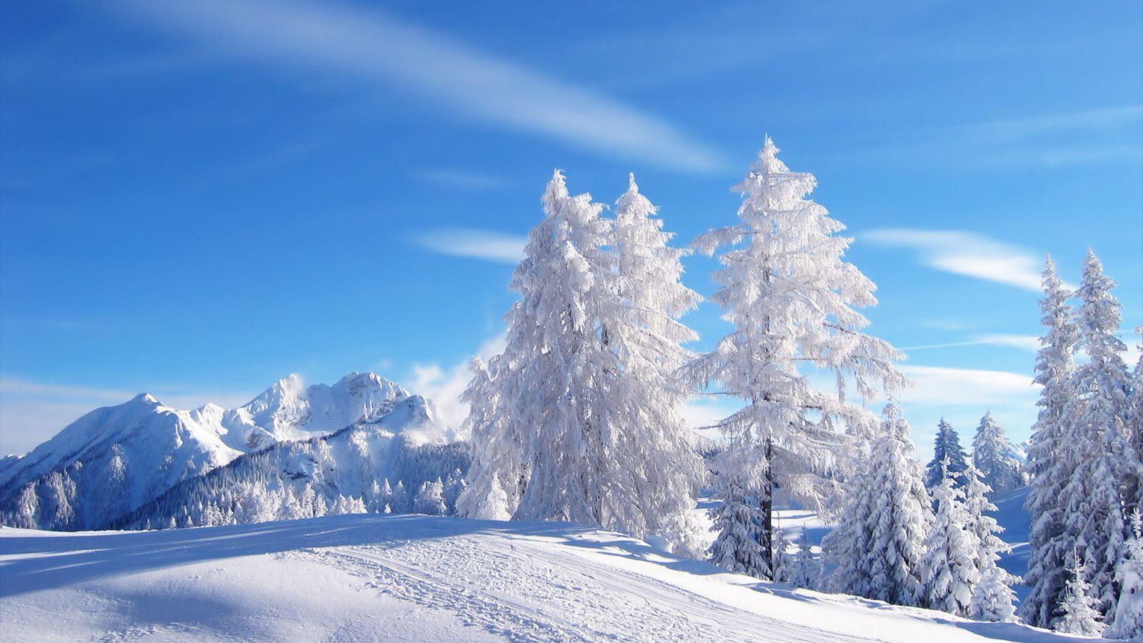 Winter Snow Wallpapers