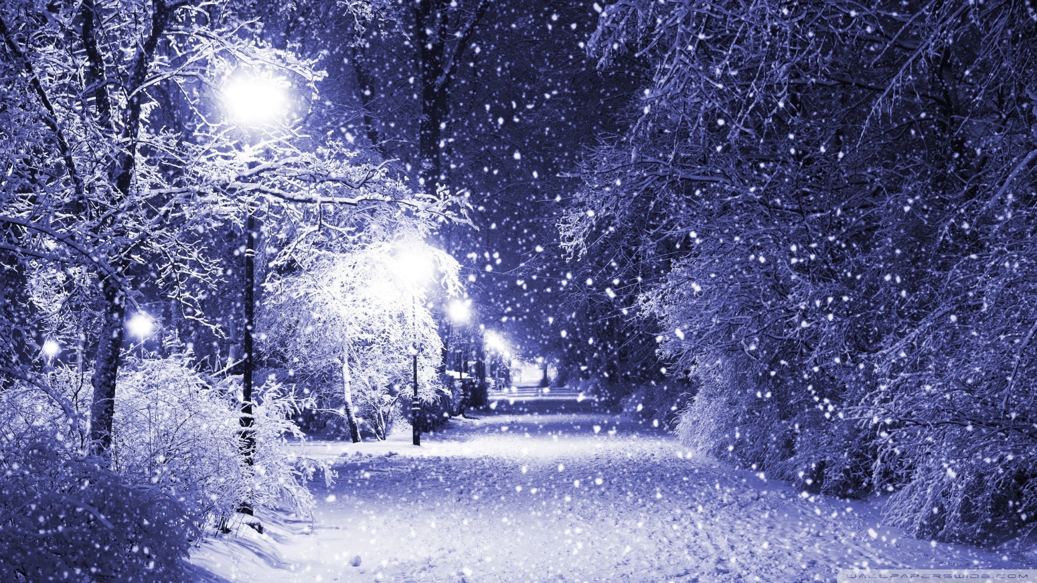 Winter Snow Wallpapers