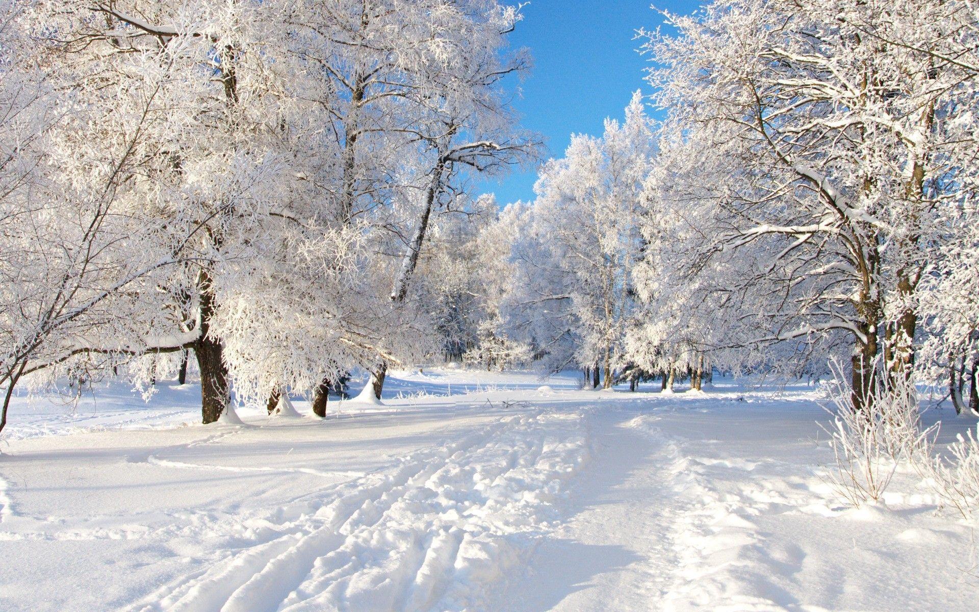 Winter Snow Wallpapers