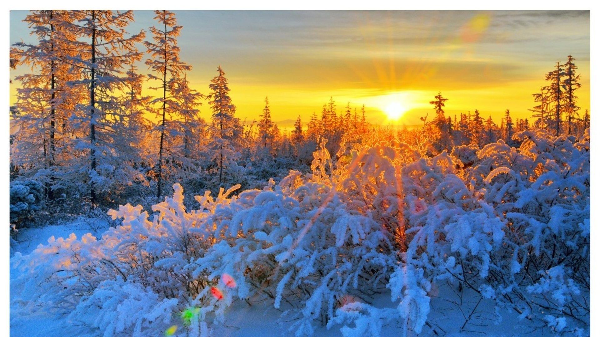 Winter Sunrise Background