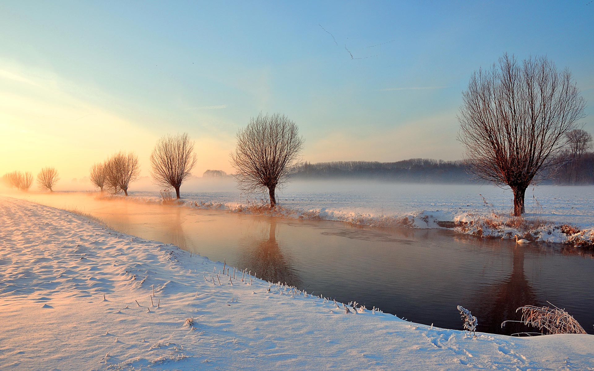 Winter Sunrise Background