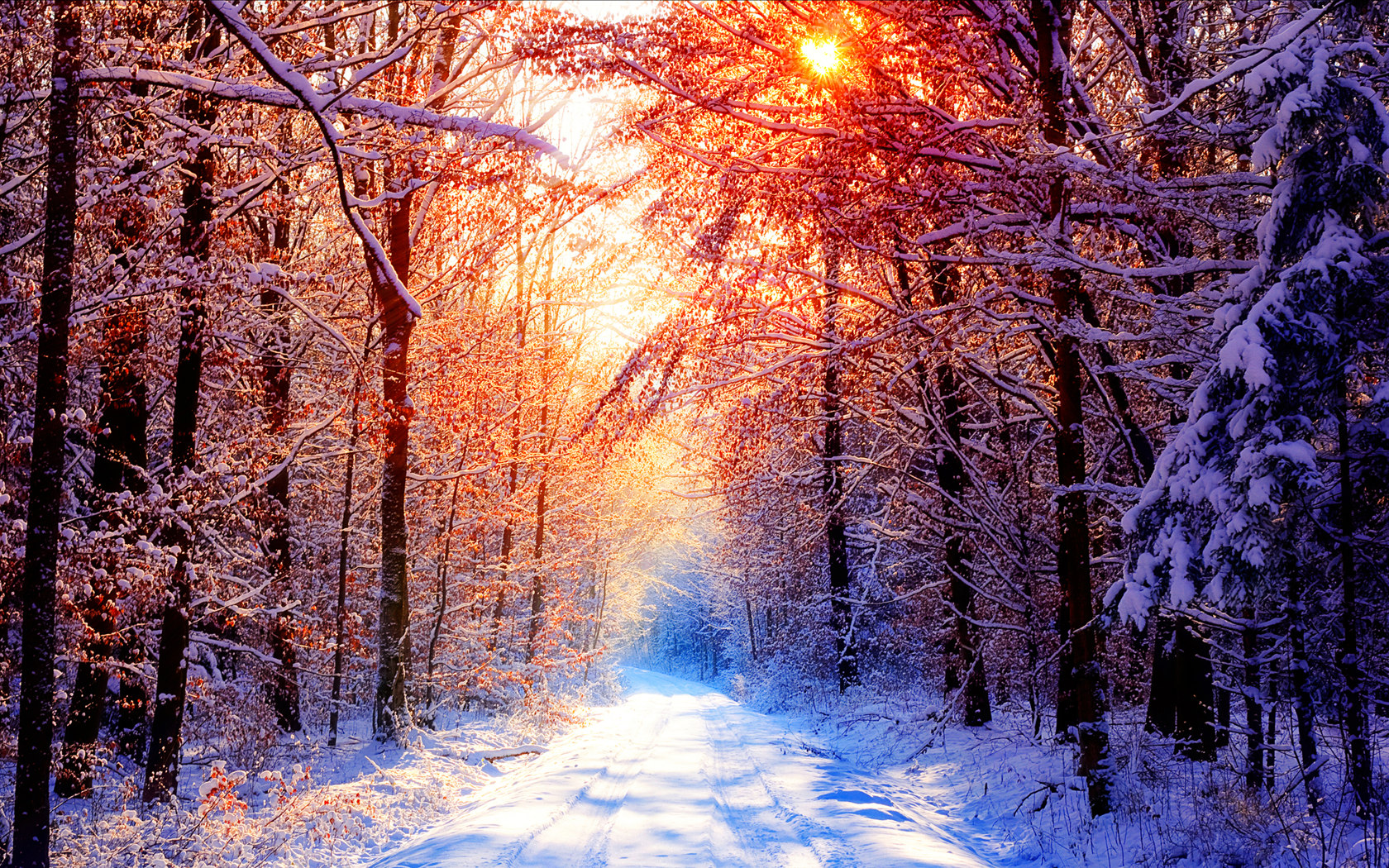 Winter Sunrise Background