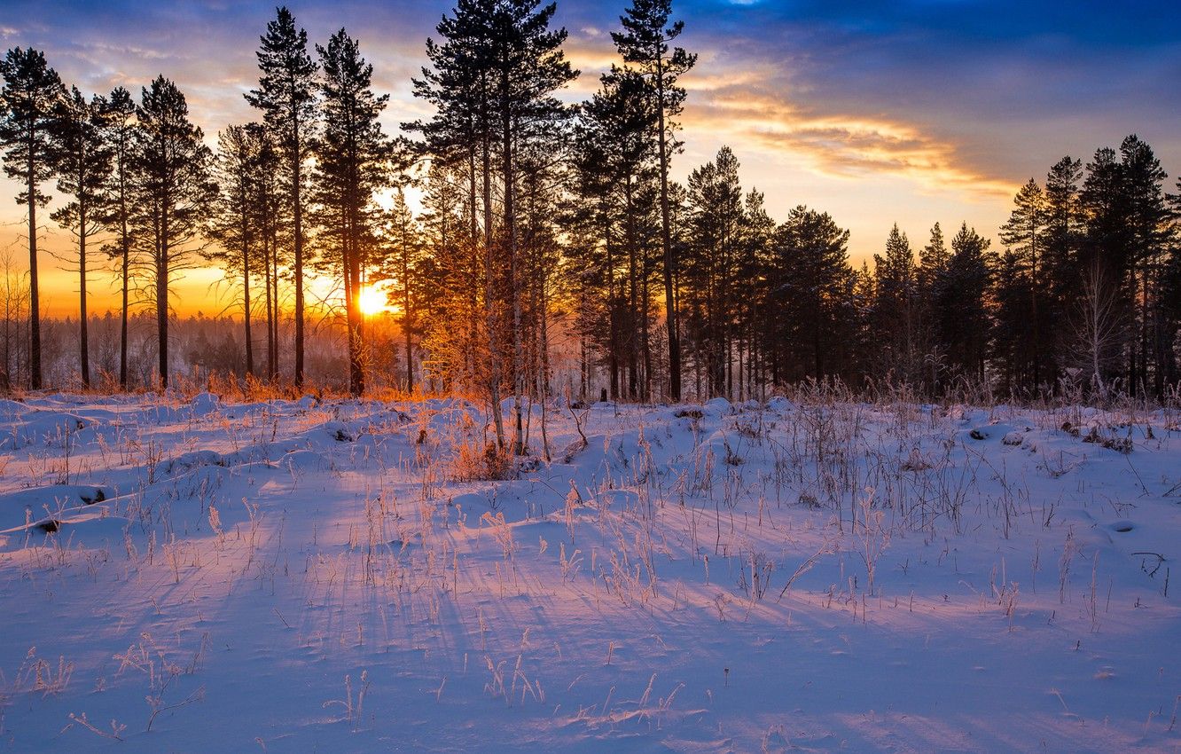 Winter Sunrise Forest Wallpapers