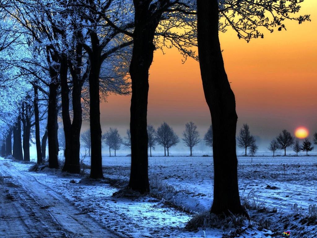 Winter Sunset Desktop Backgrounds