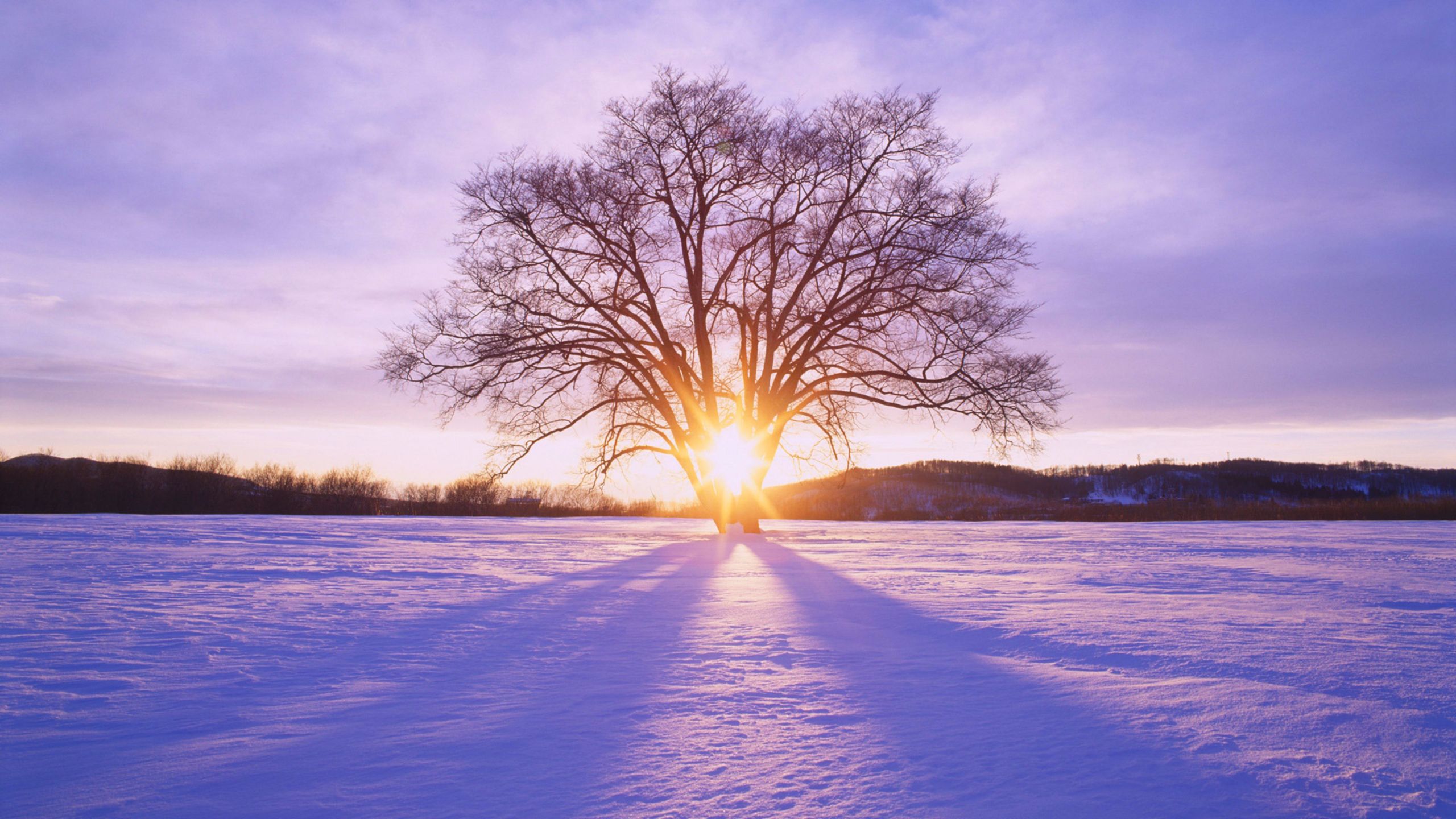 Winter Sunset Desktop Backgrounds