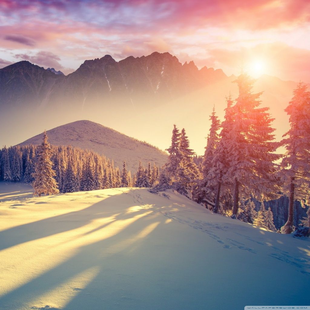 Winter Sunset Desktop Backgrounds