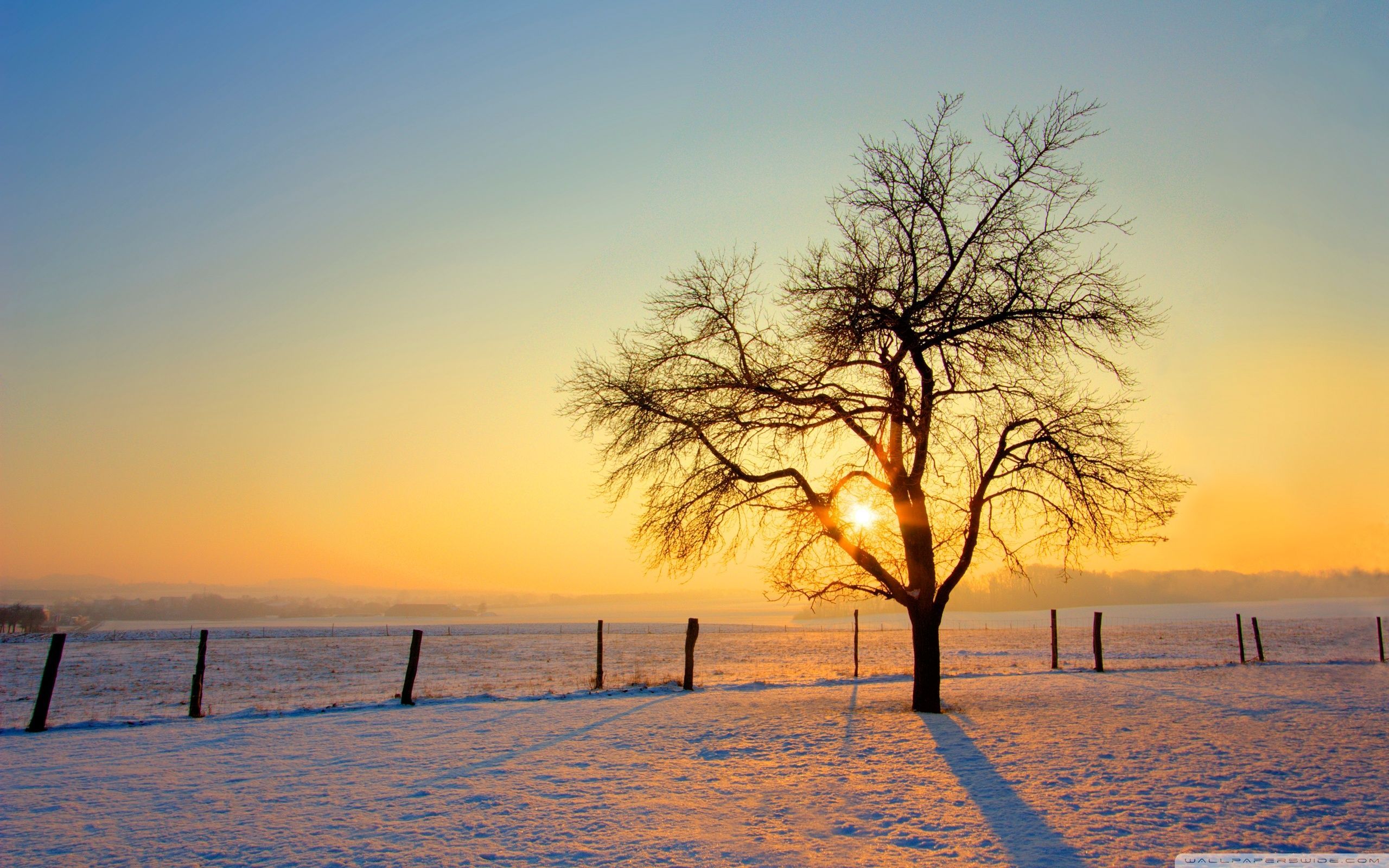 Winter Sunset Photography Wallpapers