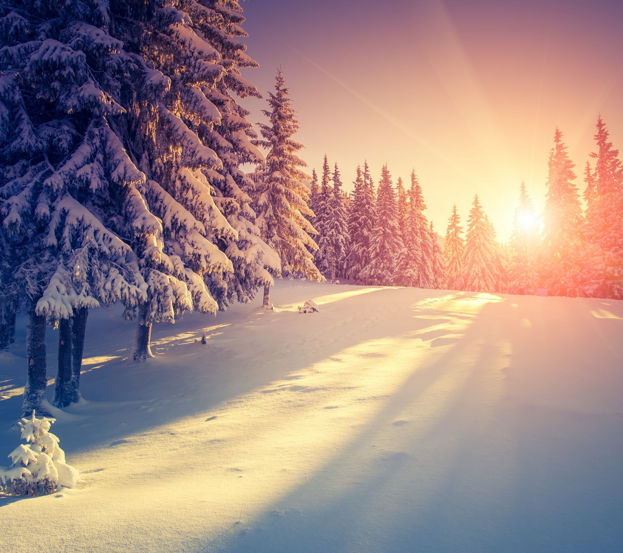 Winter Sunset Photography Wallpapers