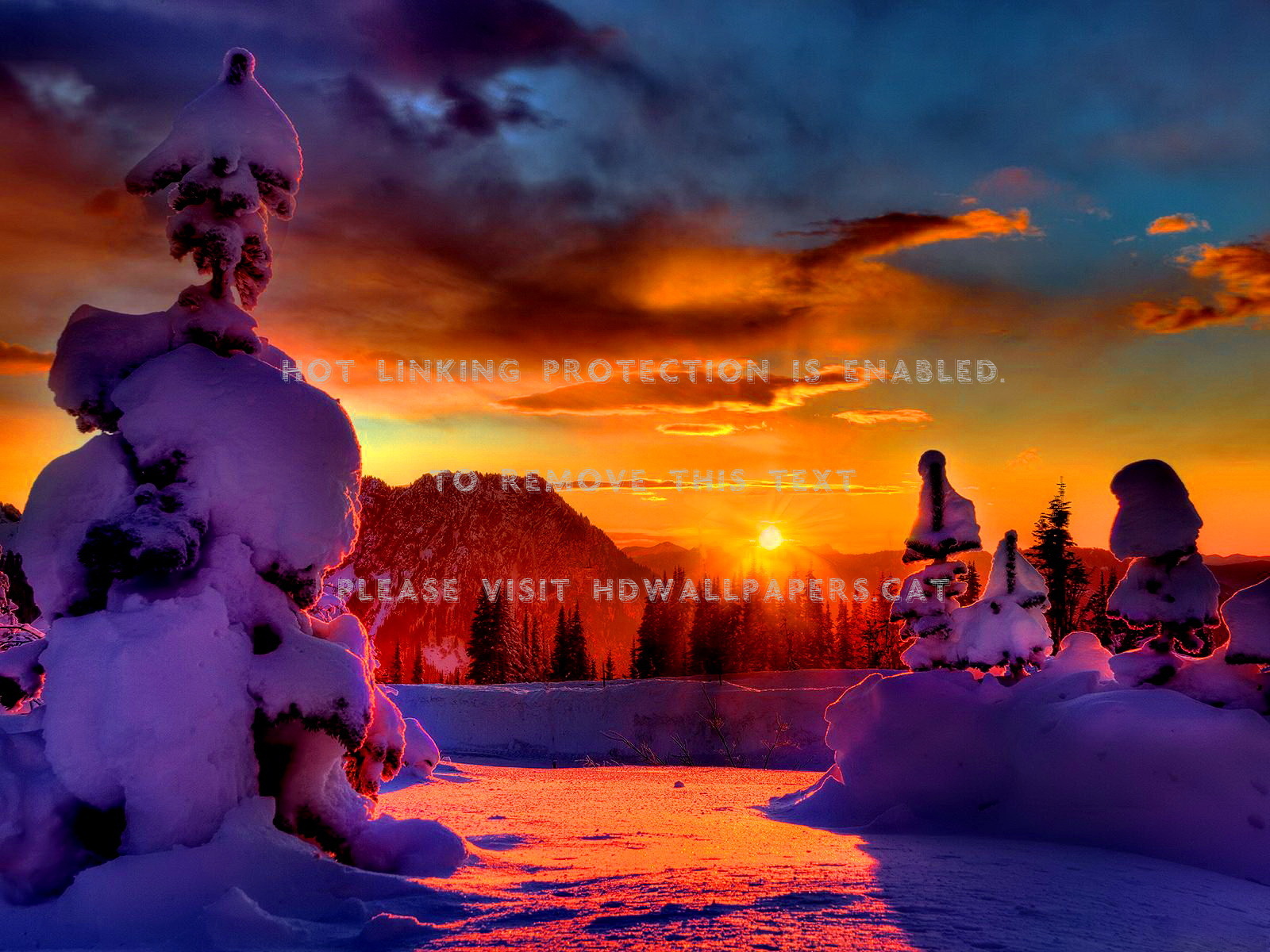 Winter Sunshine Wallpapers