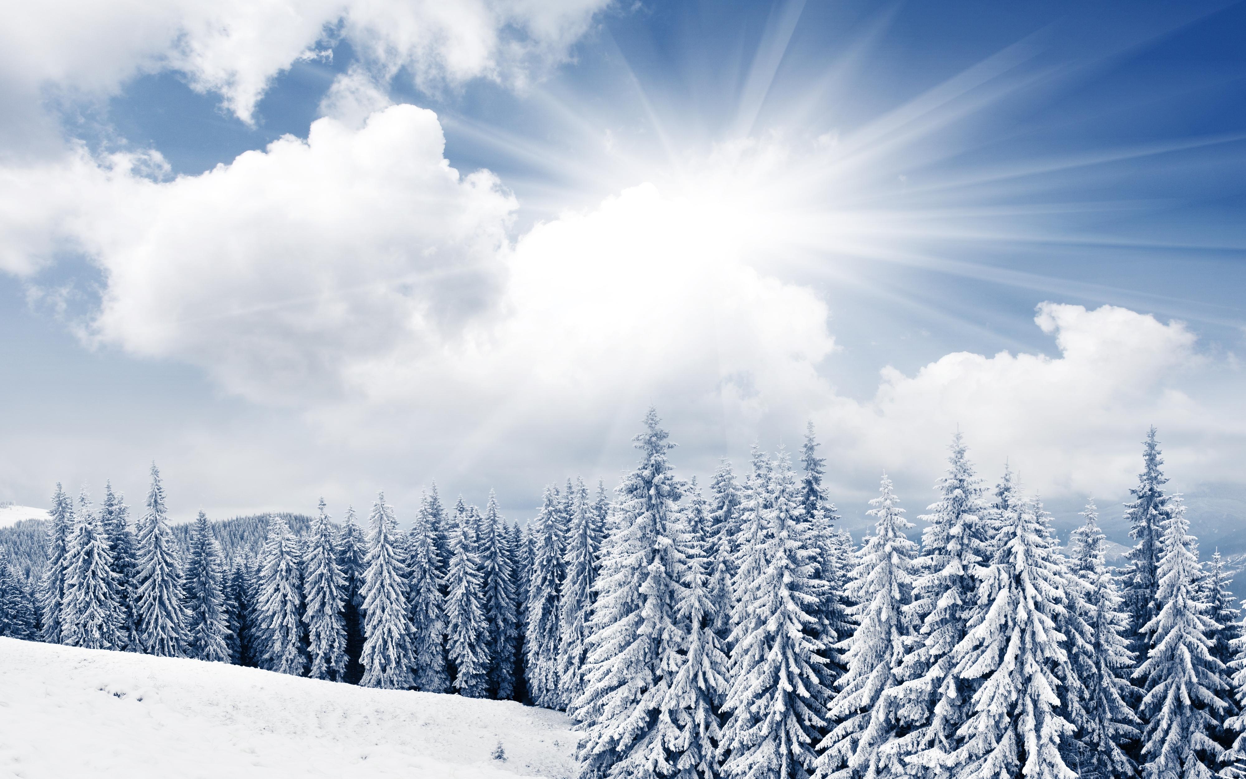 Winter Sunshine Wallpapers