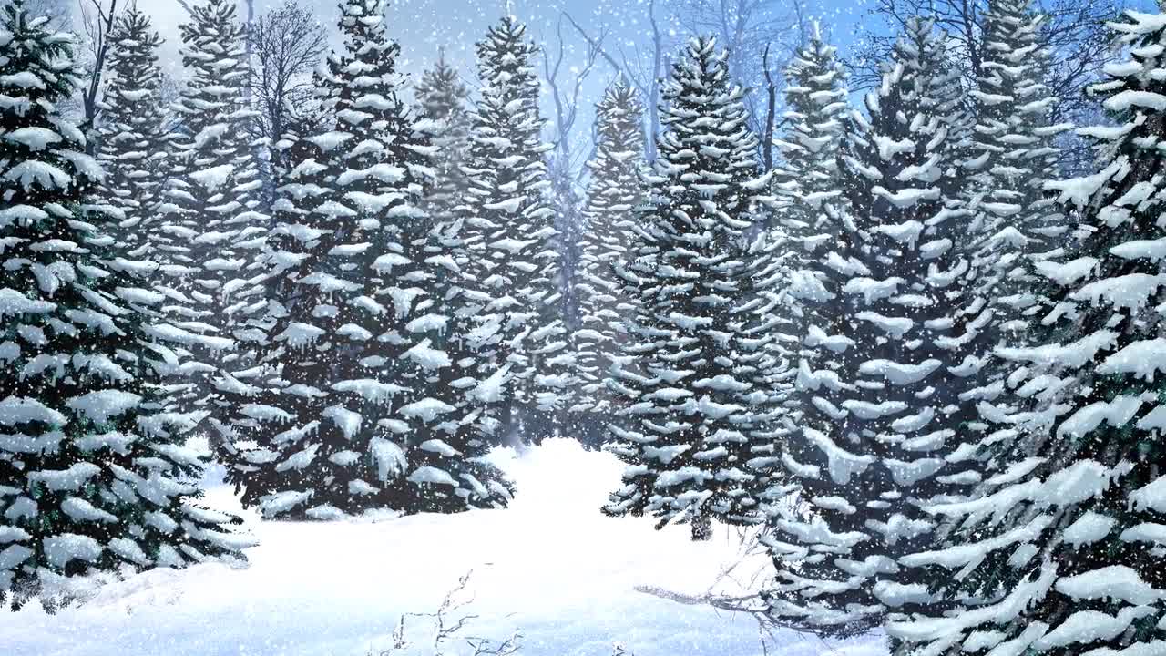 Winter Trees Backgrounds