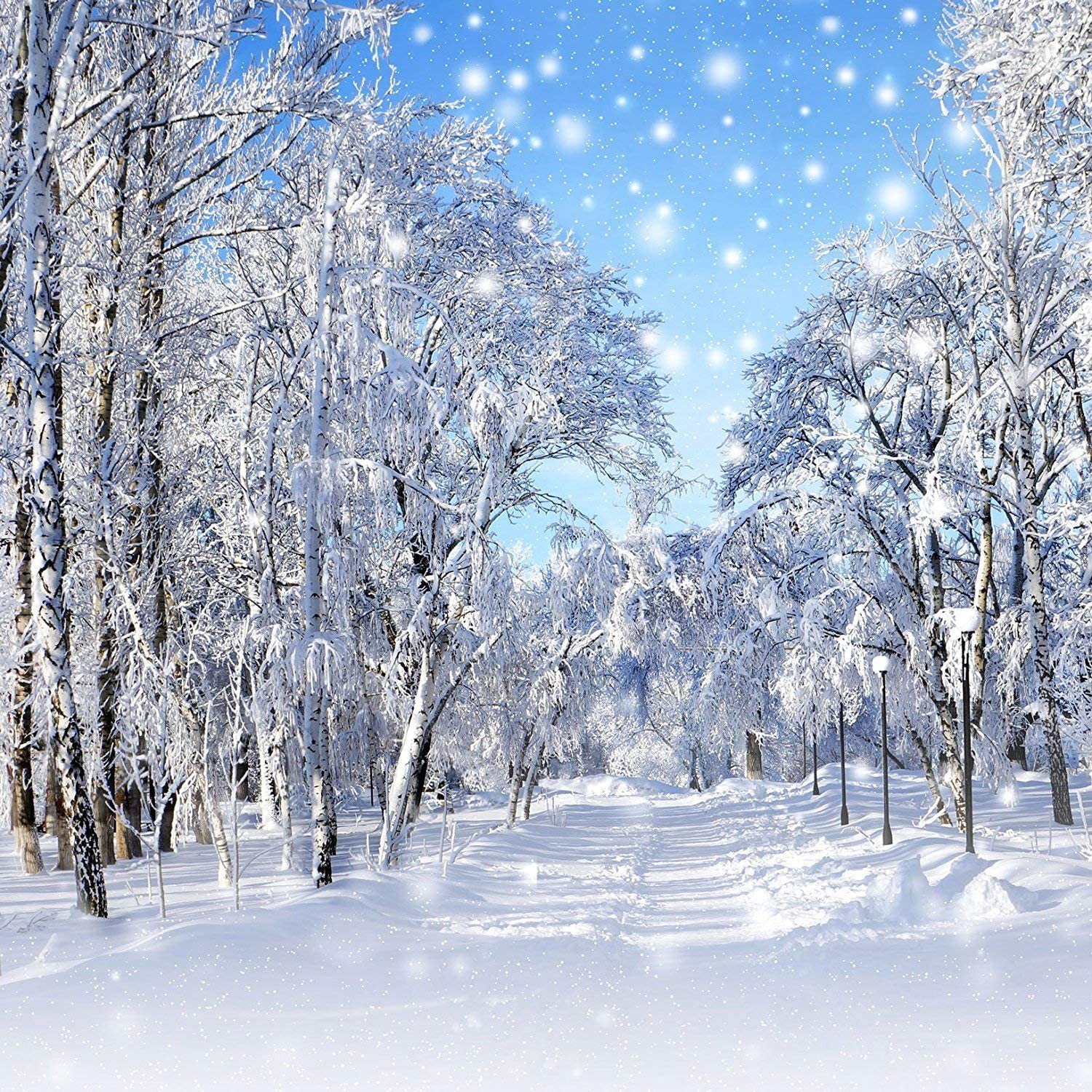 Winter Trees Backgrounds