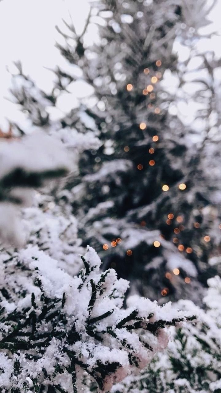 Winter Tumblr Wallpapers