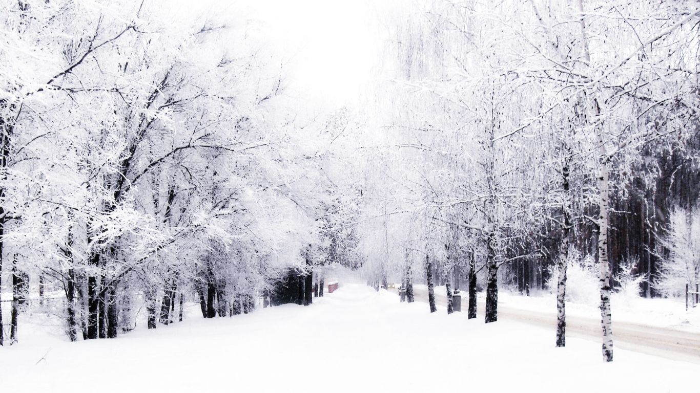 Winter Tumblr Wallpapers