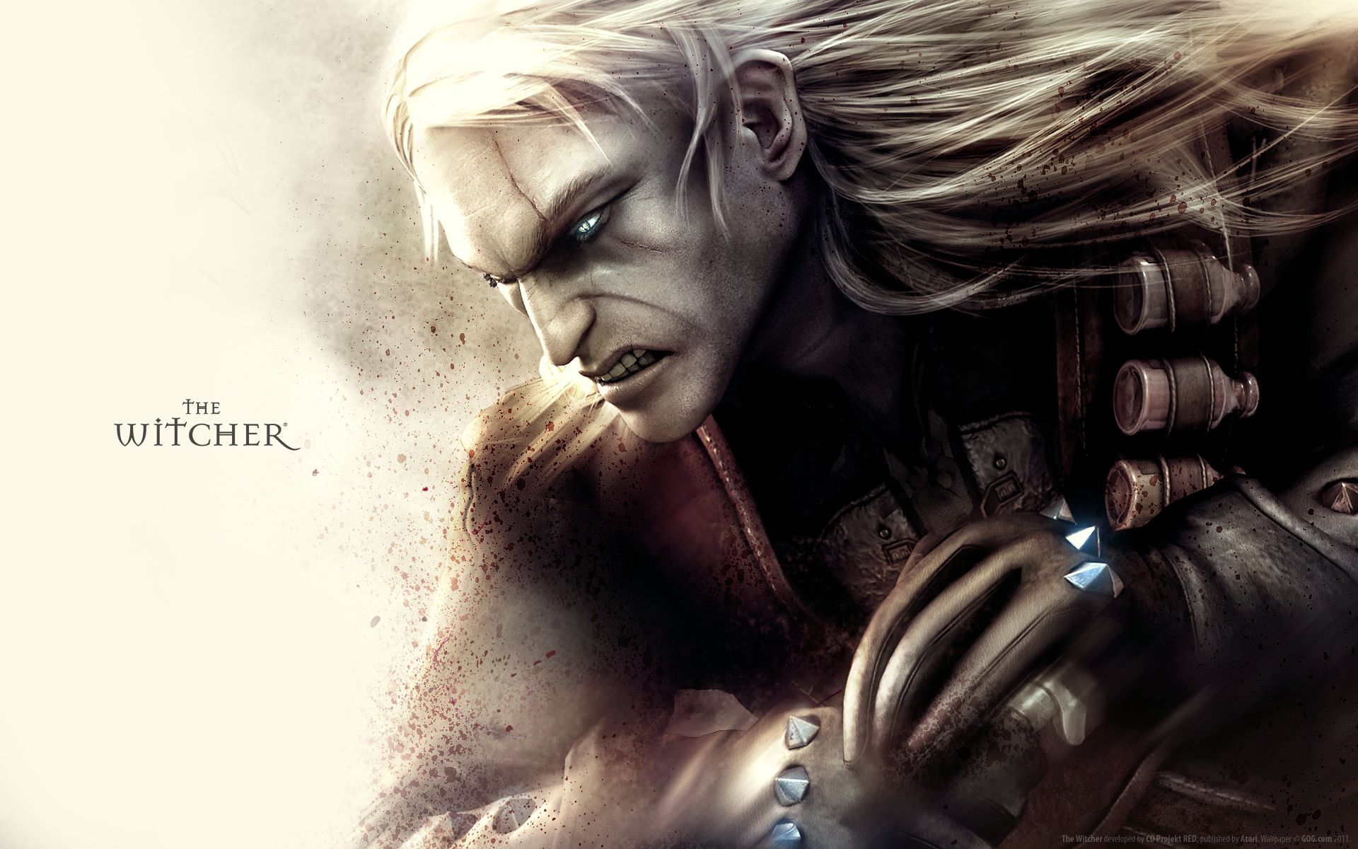 Witcher 1 Wallpapers