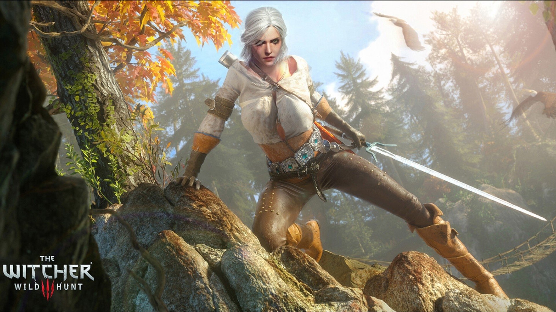 Witcher 3 Ciri Wallpapers